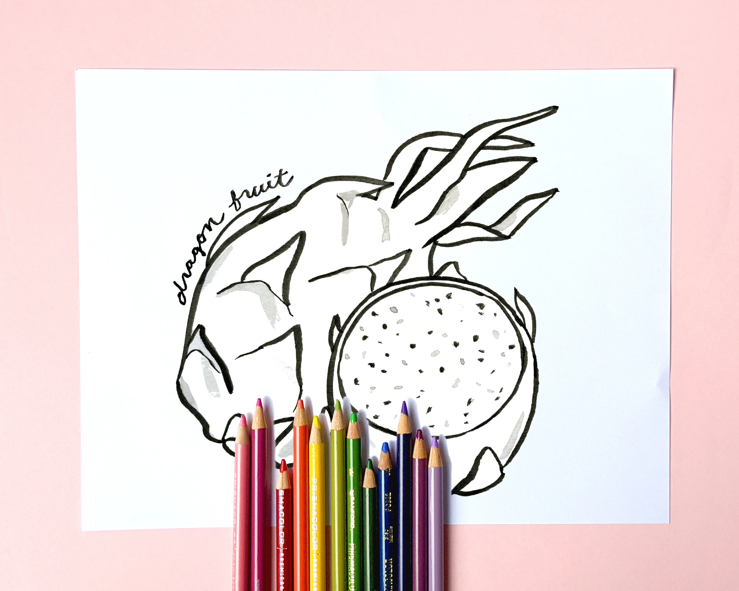 FruitColoringBookMockup_dragonfruit.JPG
