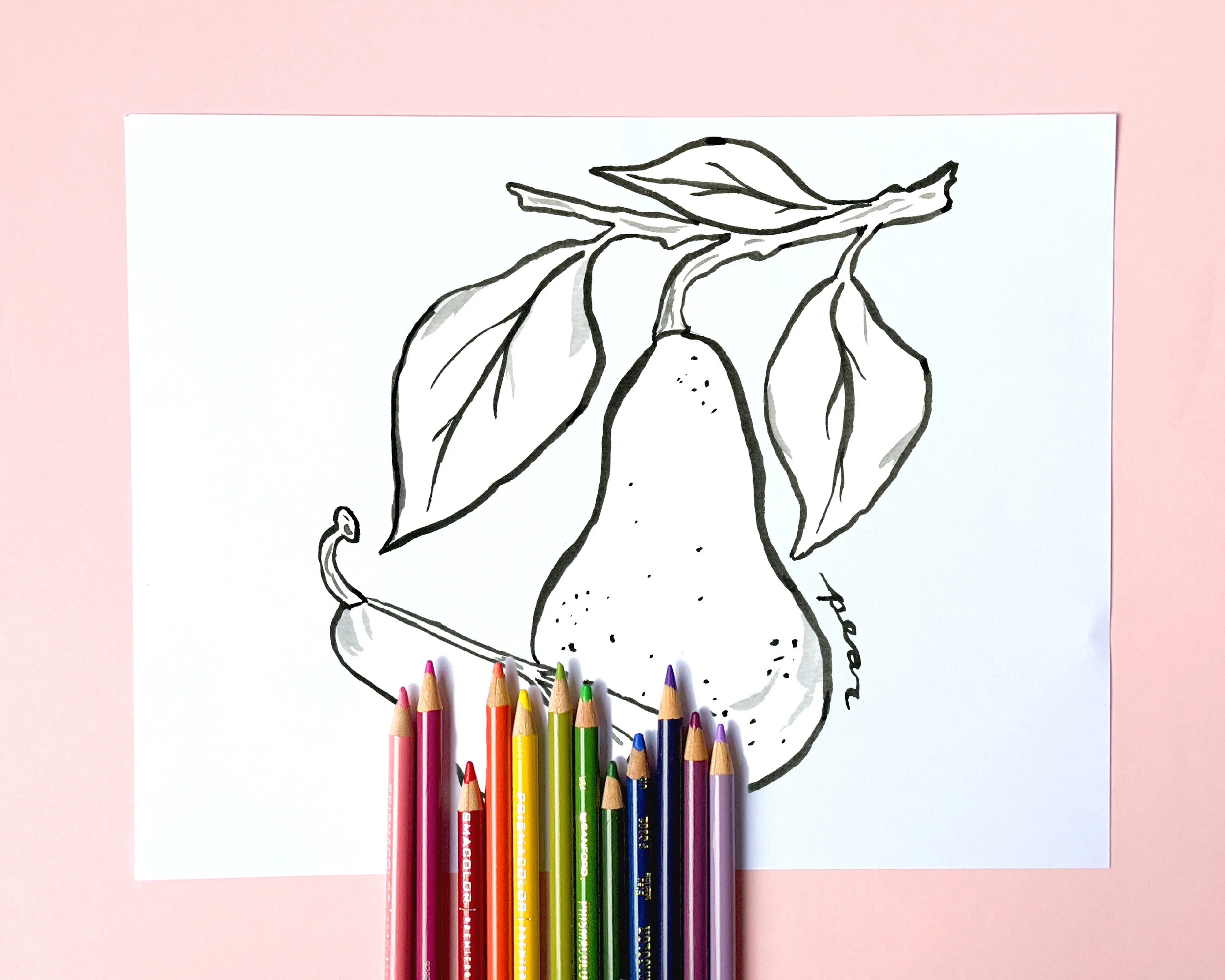 FruitColoringBookMockup_pear.JPG
