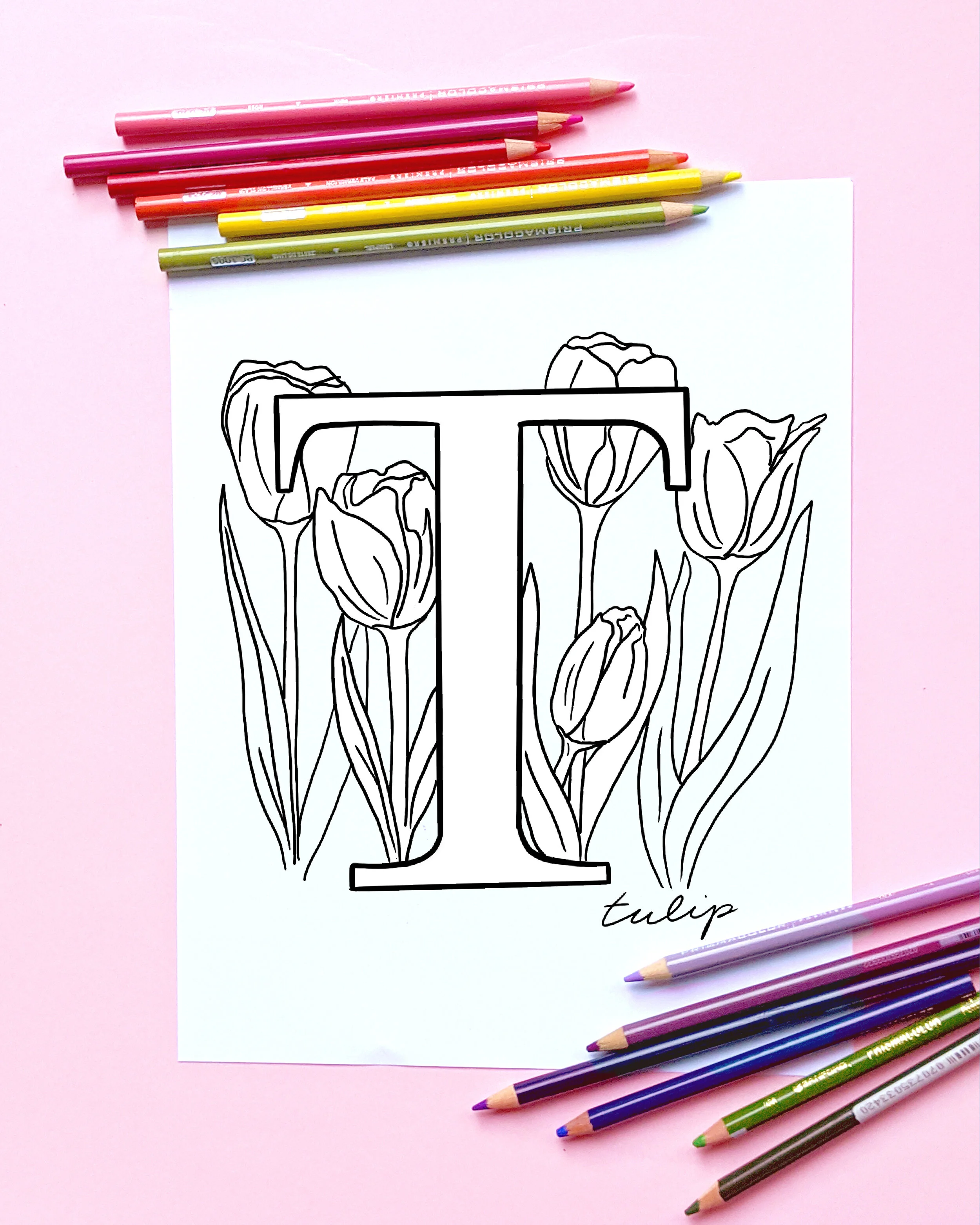 AlphabetColoringBook_T.JPG