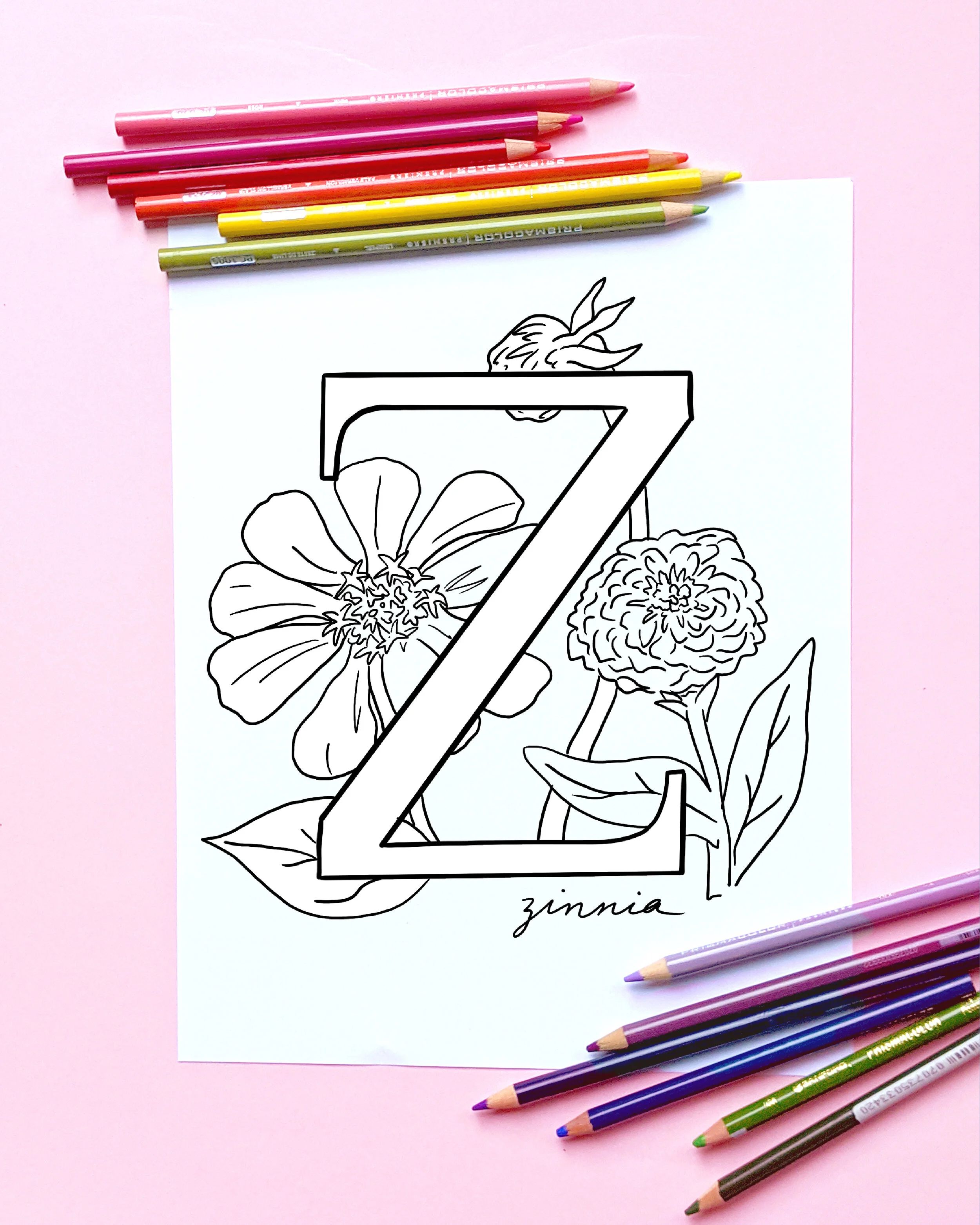 AlphabetColoringBook_Z.JPG
