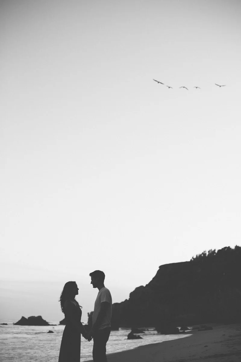 lovebirds-2.jpg