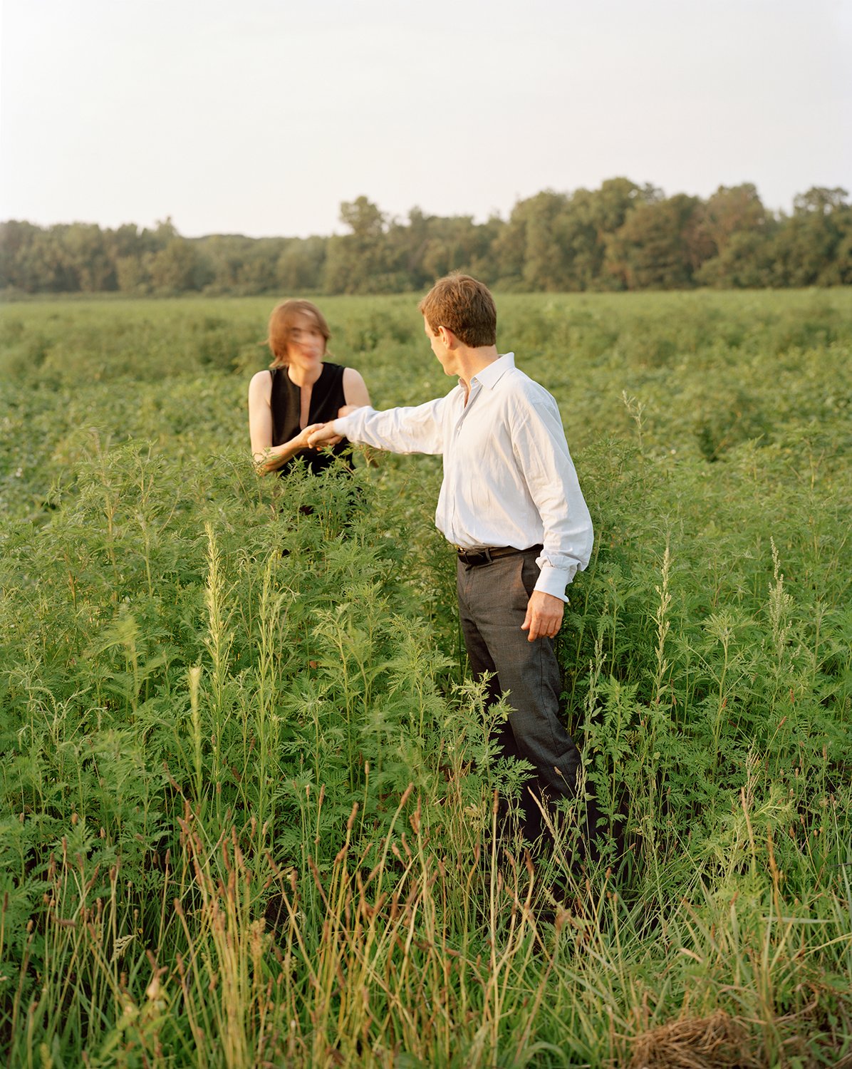  harvest 