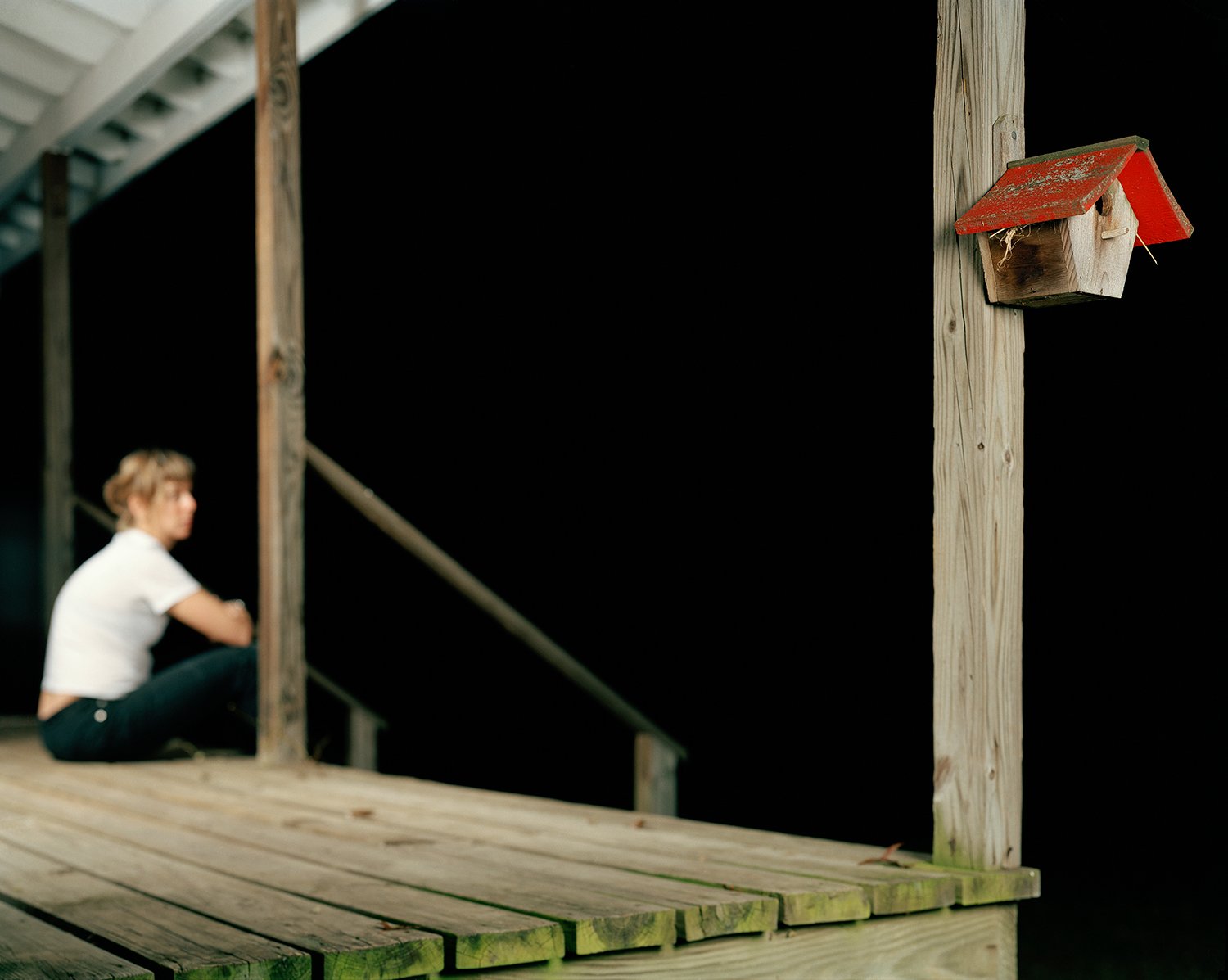  birdhouse, red hook 