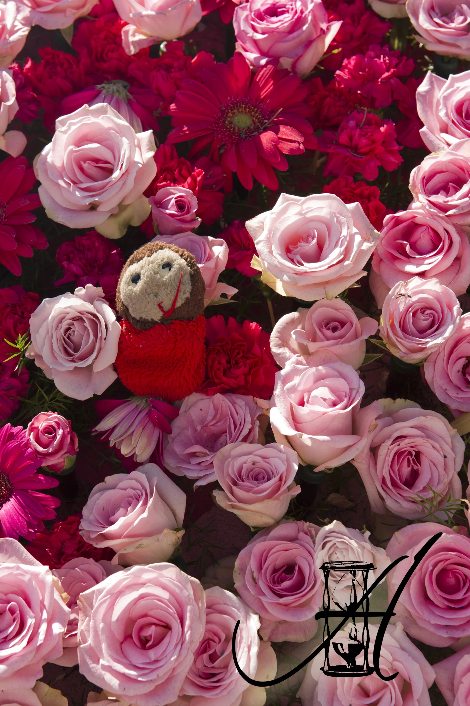 tournament_of_roses_201423.jpg