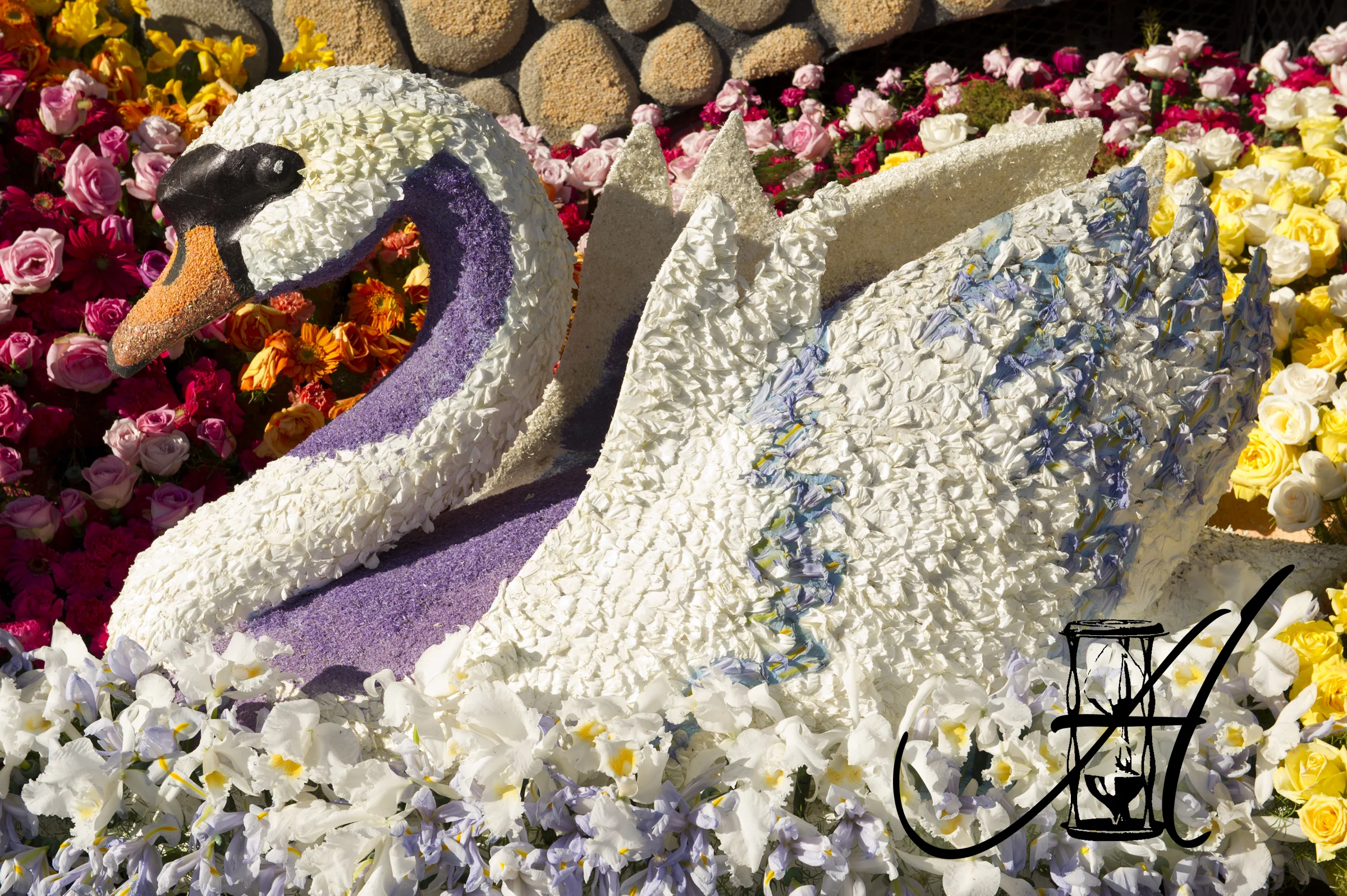 tournament_of_roses_201422.jpg
