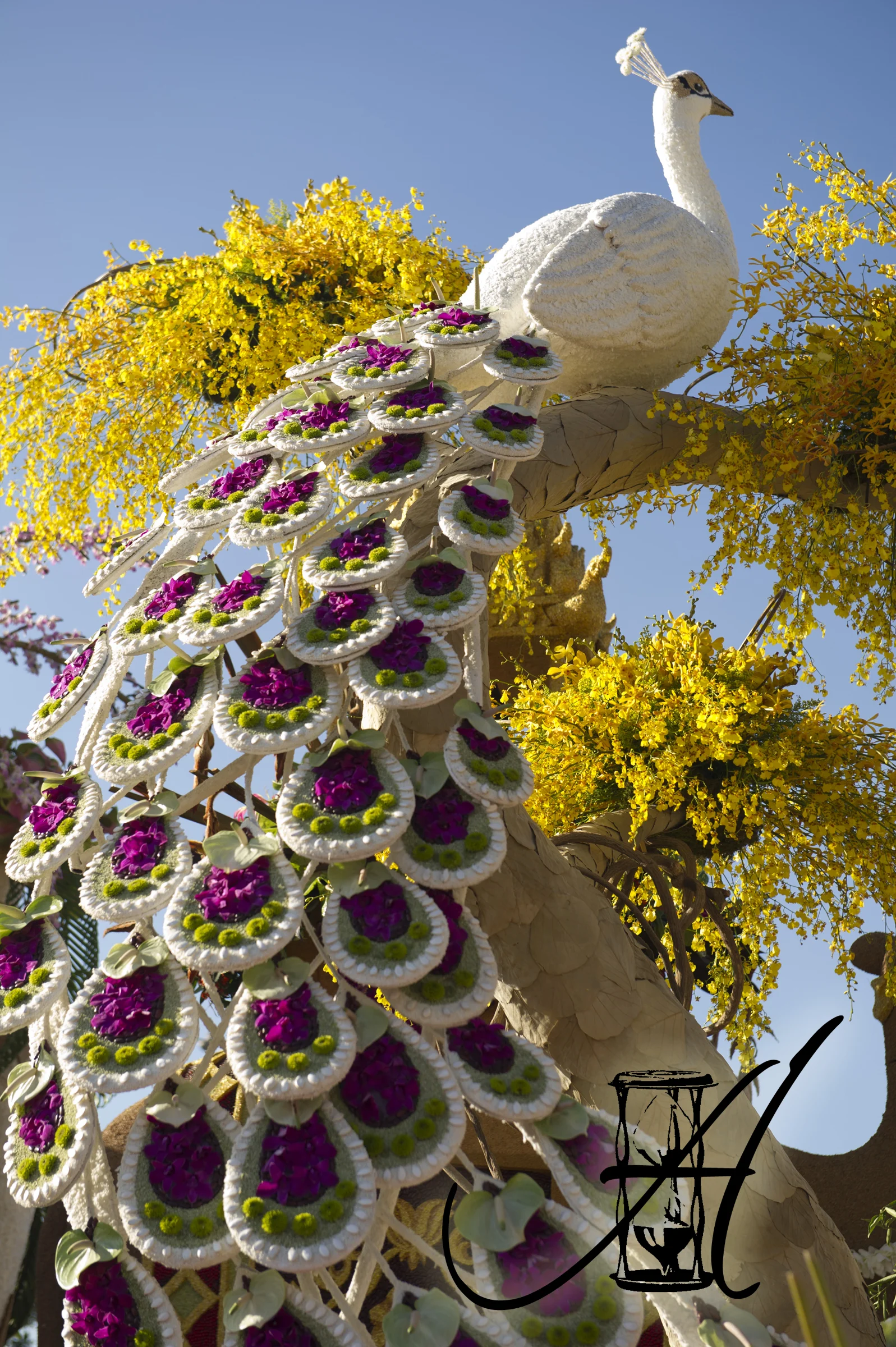 tournament_of_roses_201427.jpg