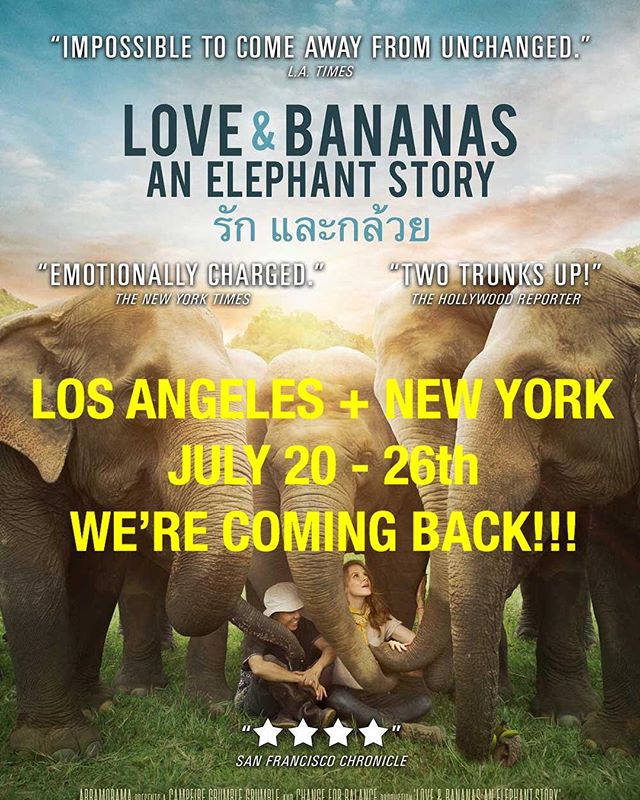 Due to an overwhelming response by sold out audiences and critics, @loveandbananasmovie is returning to theaters from July 20-26th in LA and NY!!!! Join us on an elephant rescue!
&bull;
TICKETS ON SALE NOW!
LA &ndash; Arena Screen Hollywood 
NY &ndas