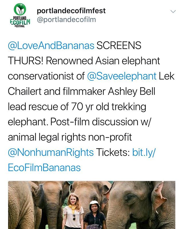 Portland let&rsquo;s do this! We are honored to be a part of the @portlandecofilmfest screening this Thursday! Post film discussion with @nonhuman.rights.project #TeamBanana #SaveElephants ❤️🍌🐘