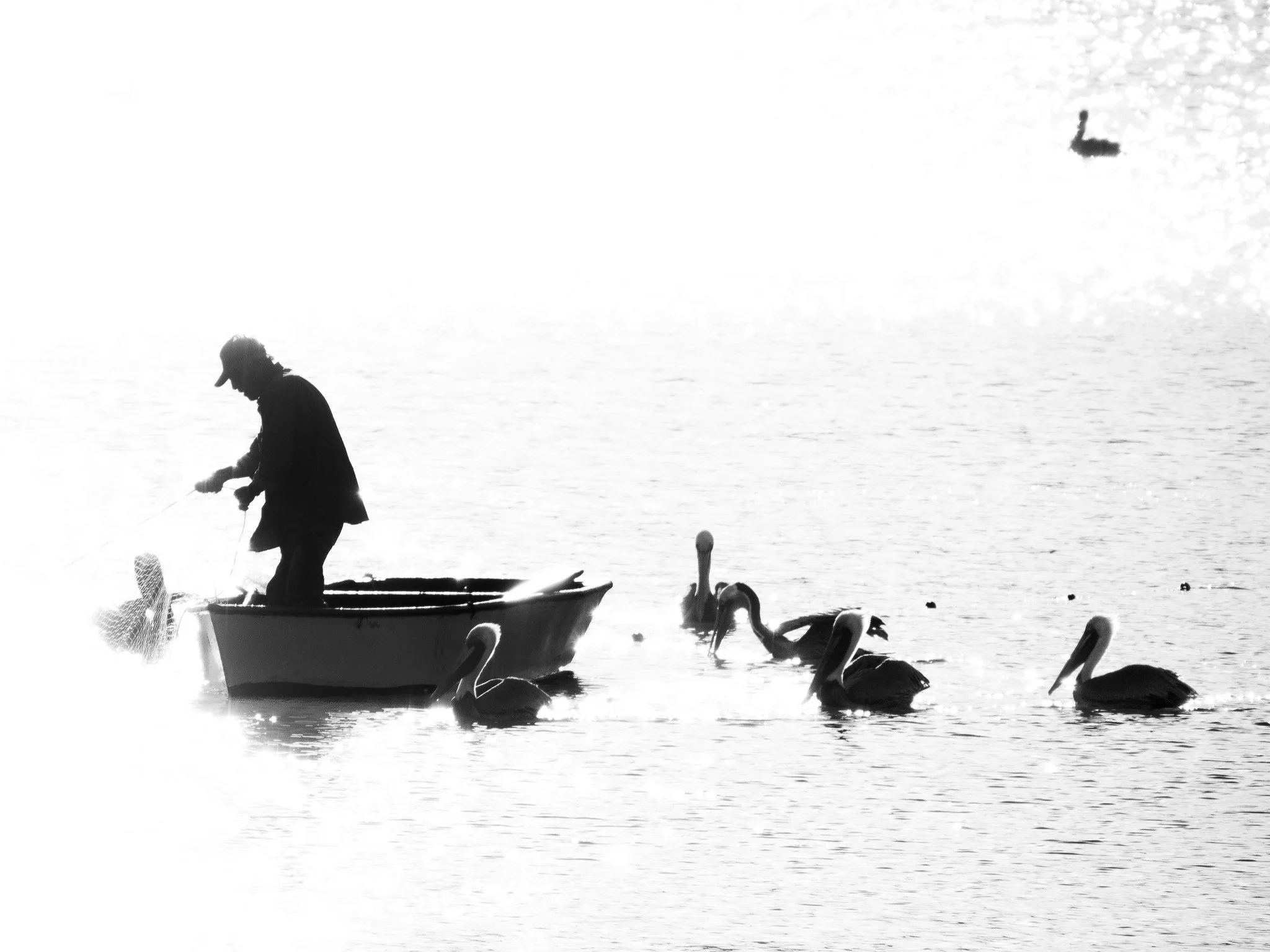 cover_fisherman.jpg