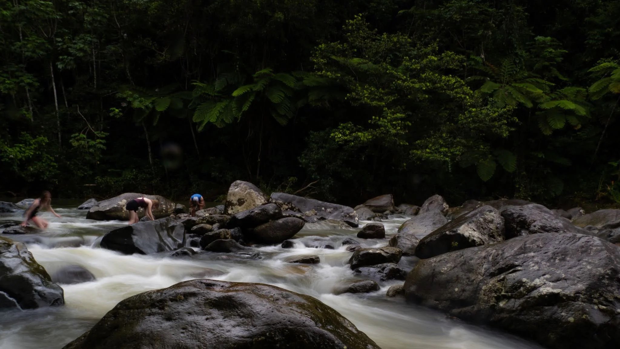 Walking in the River.jpg