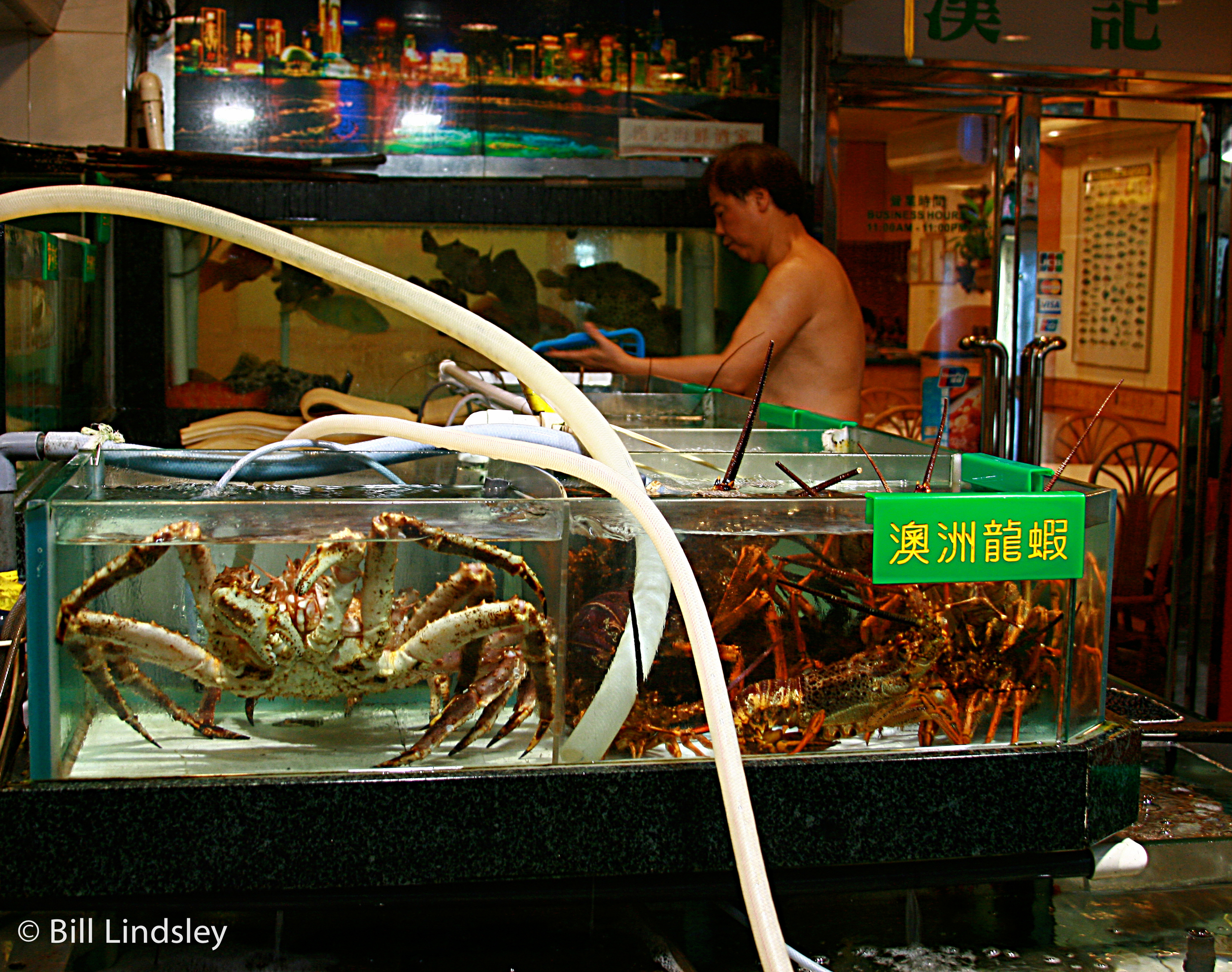  Fish Market, Hong Kong, China 