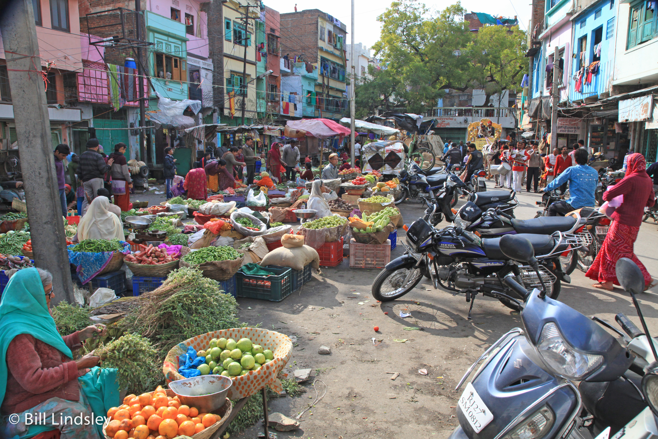  Udaipur, India 