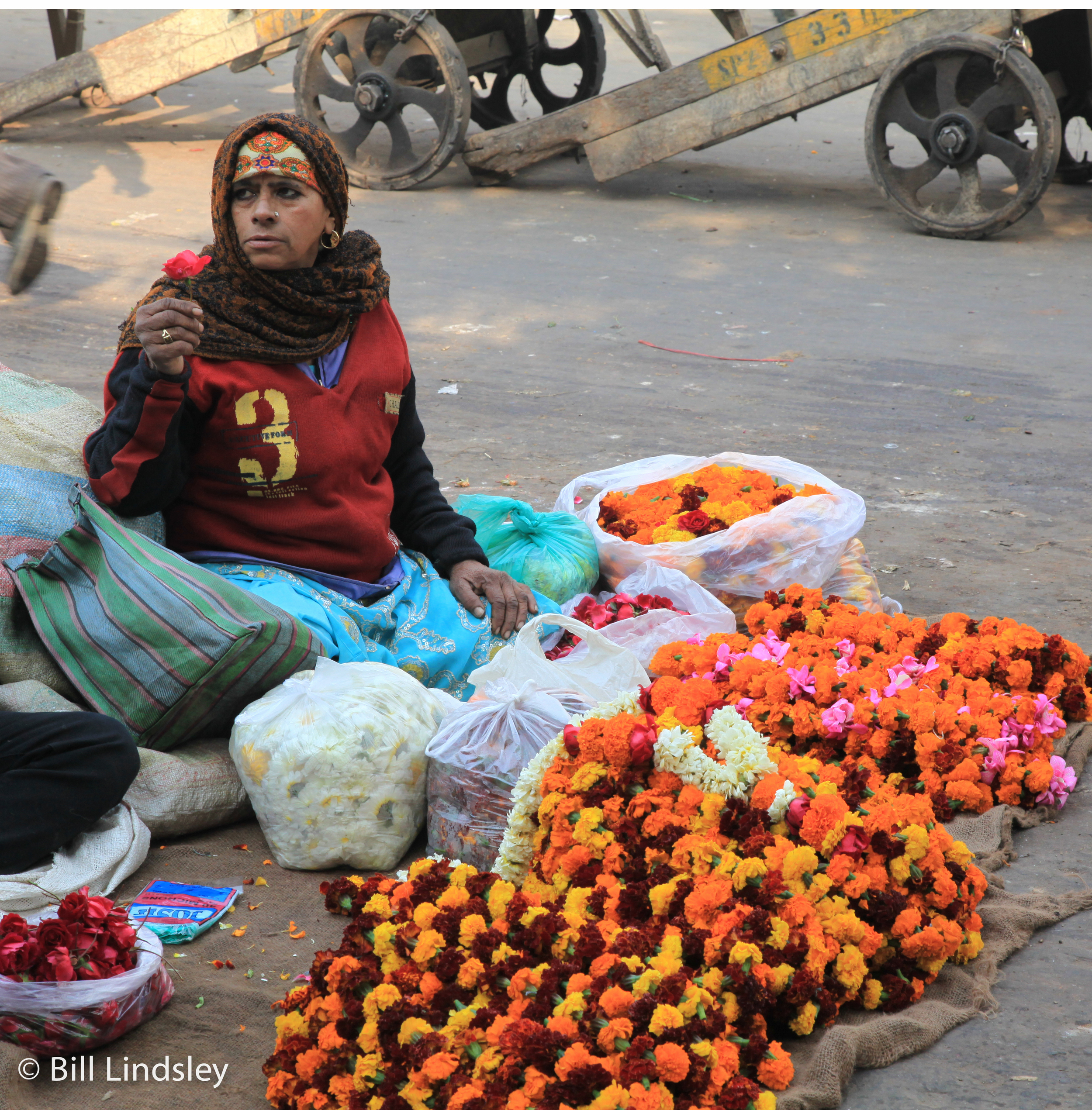  Delhi, India 