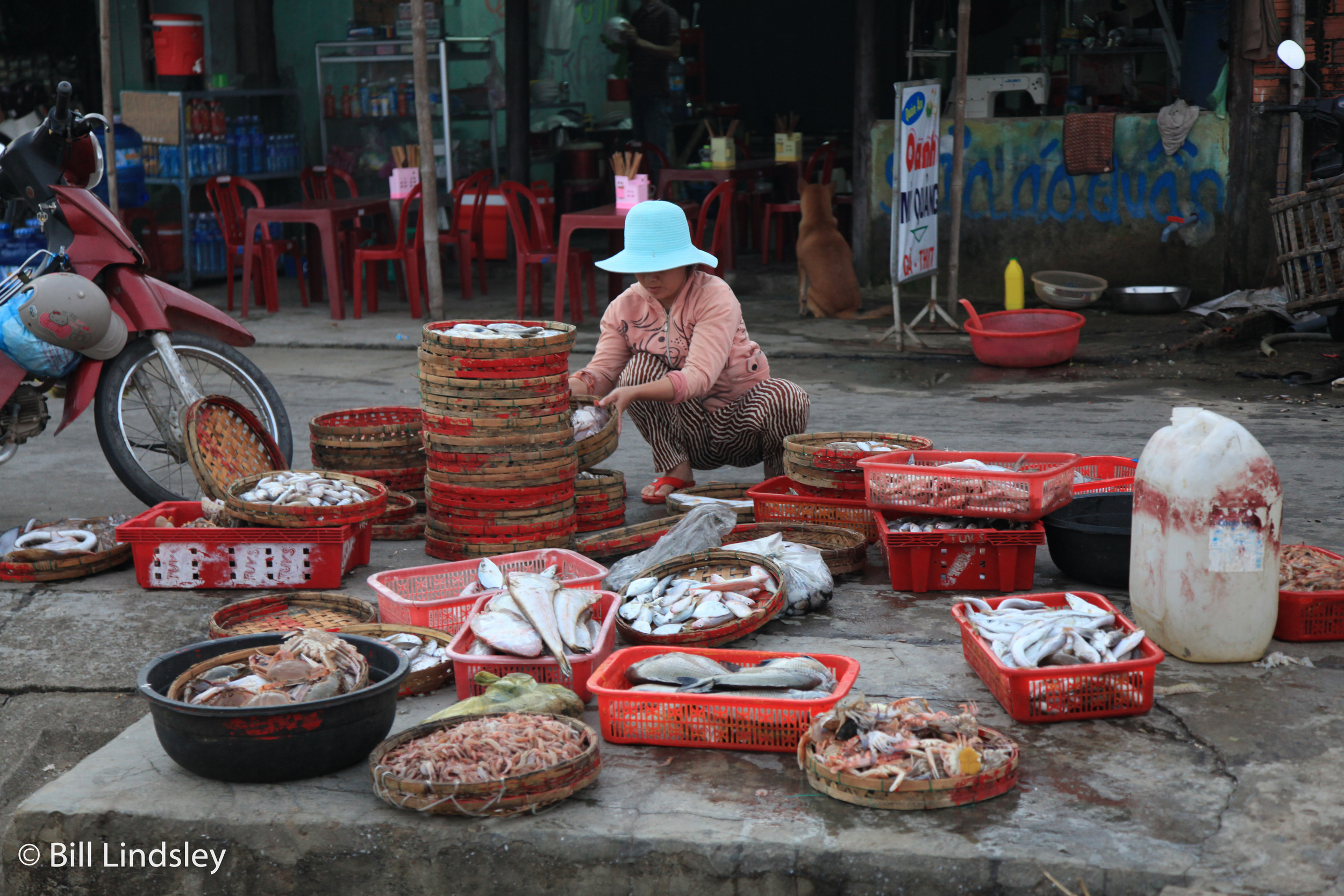  Duy Hai Fishing VIllage, Vietnam 