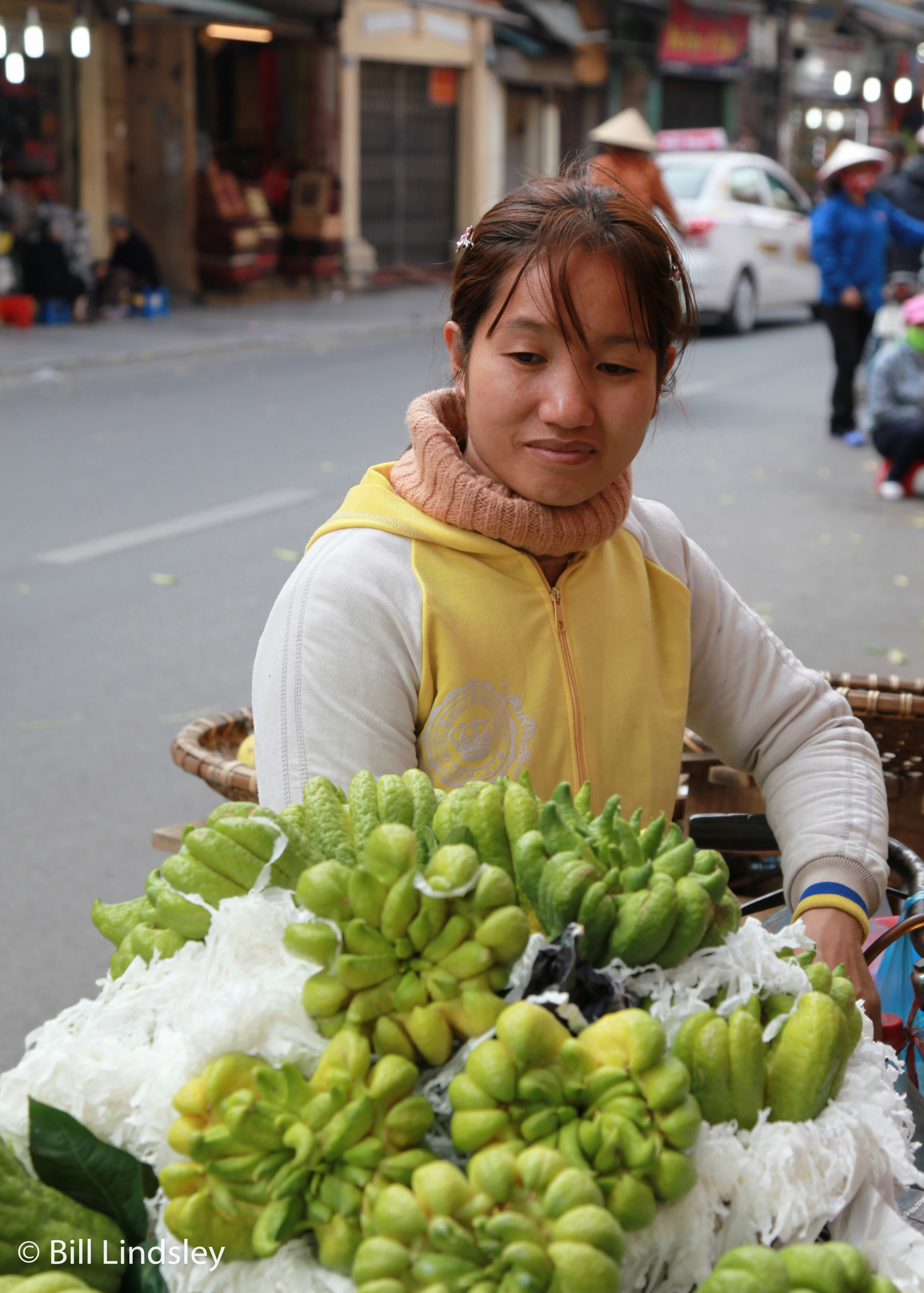  Hanoi, Vietnam    