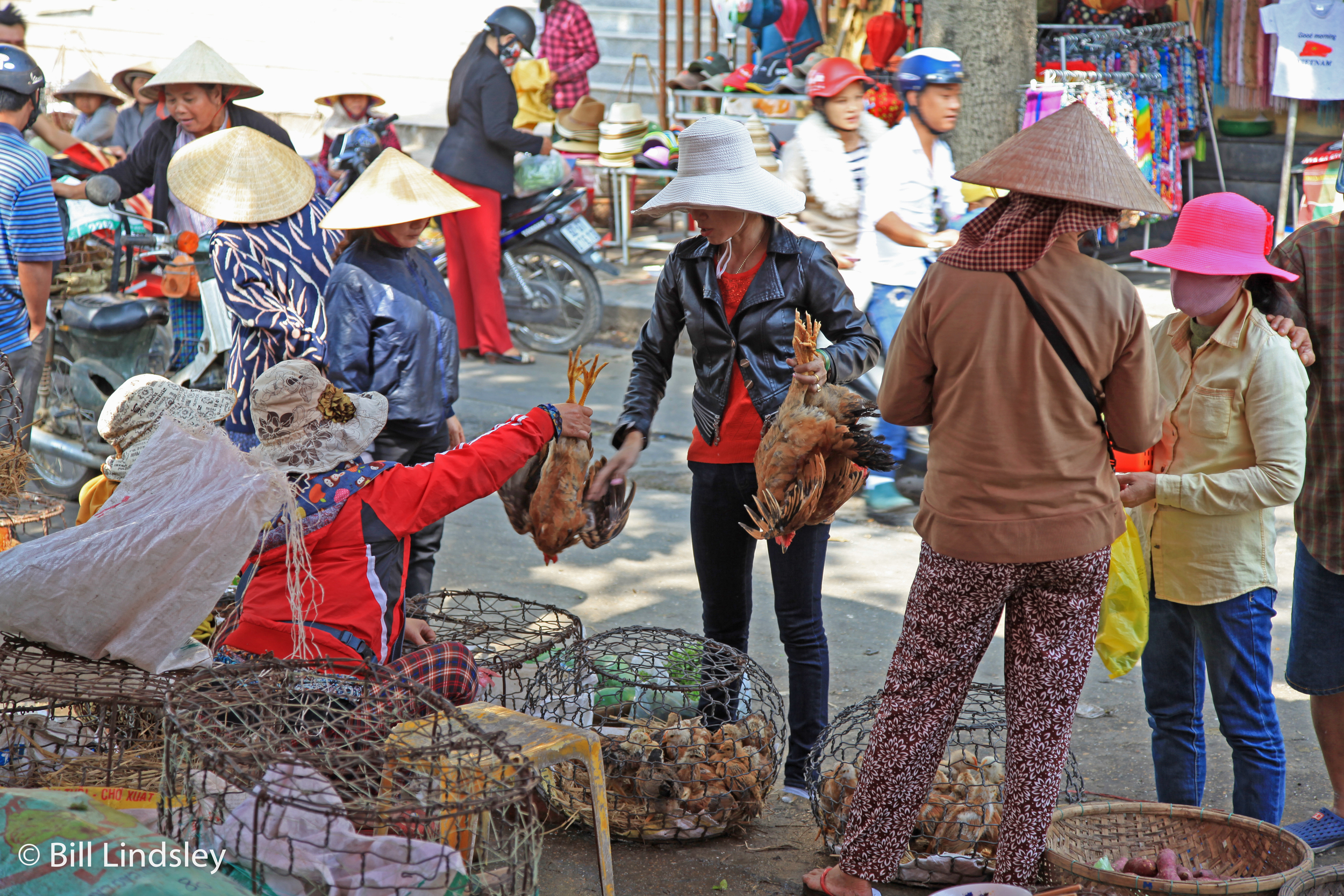  Central Market, Hoi An, Vietnam 