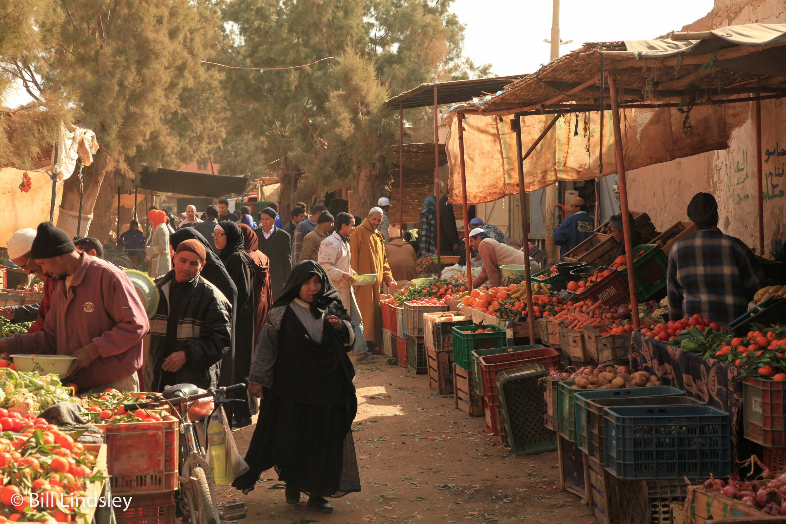  Erfoud, Morocco 