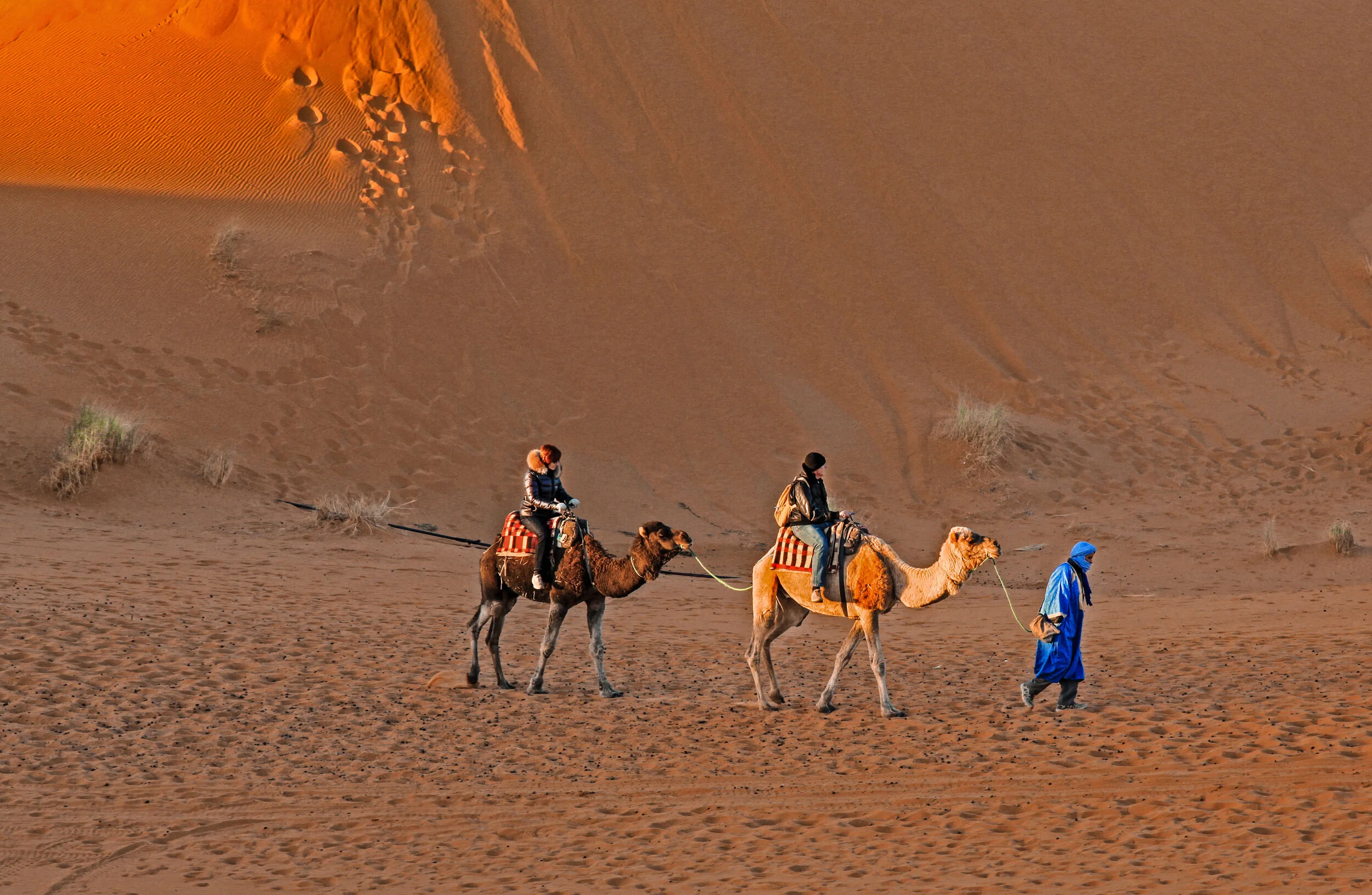  Sahara Desert, Morocco 
