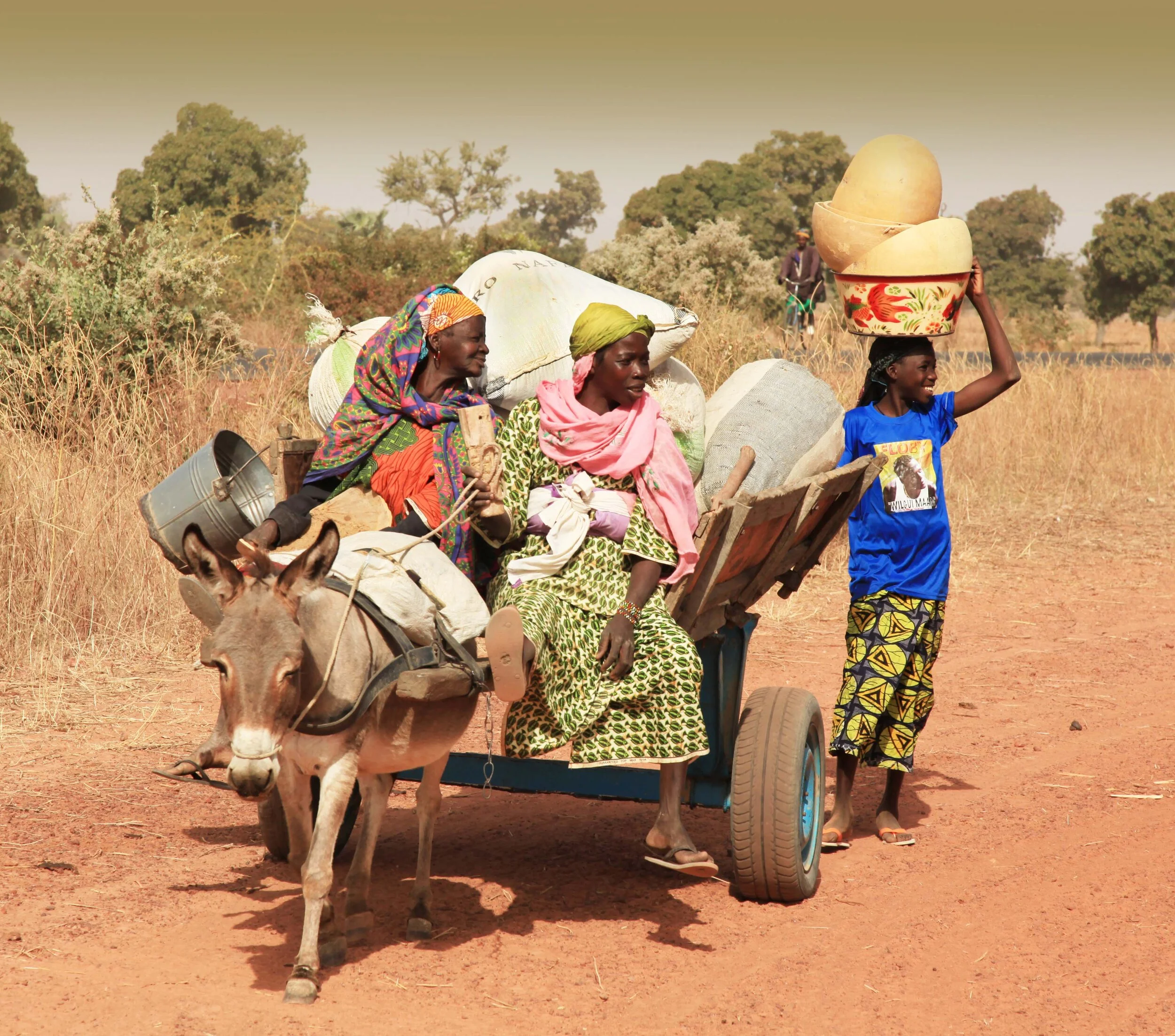  Road to Market, Mali, W. Africa         