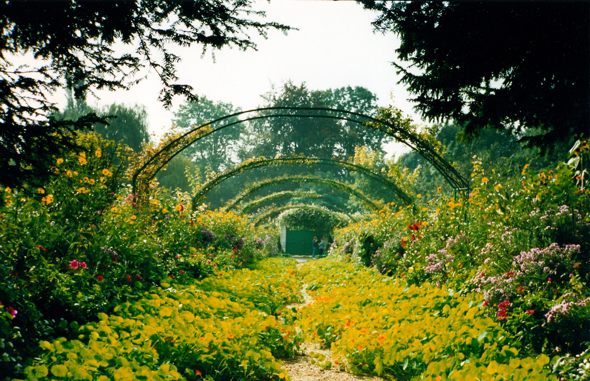  Monet’s Garden, GIverny, France 