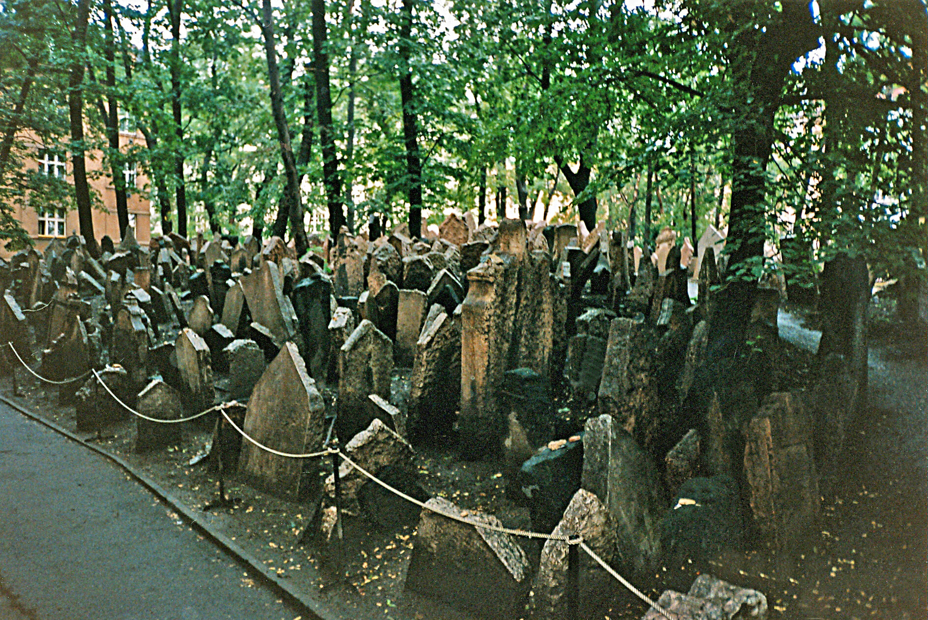  Jewish Cemetery, Prague, Czechoslavakia         