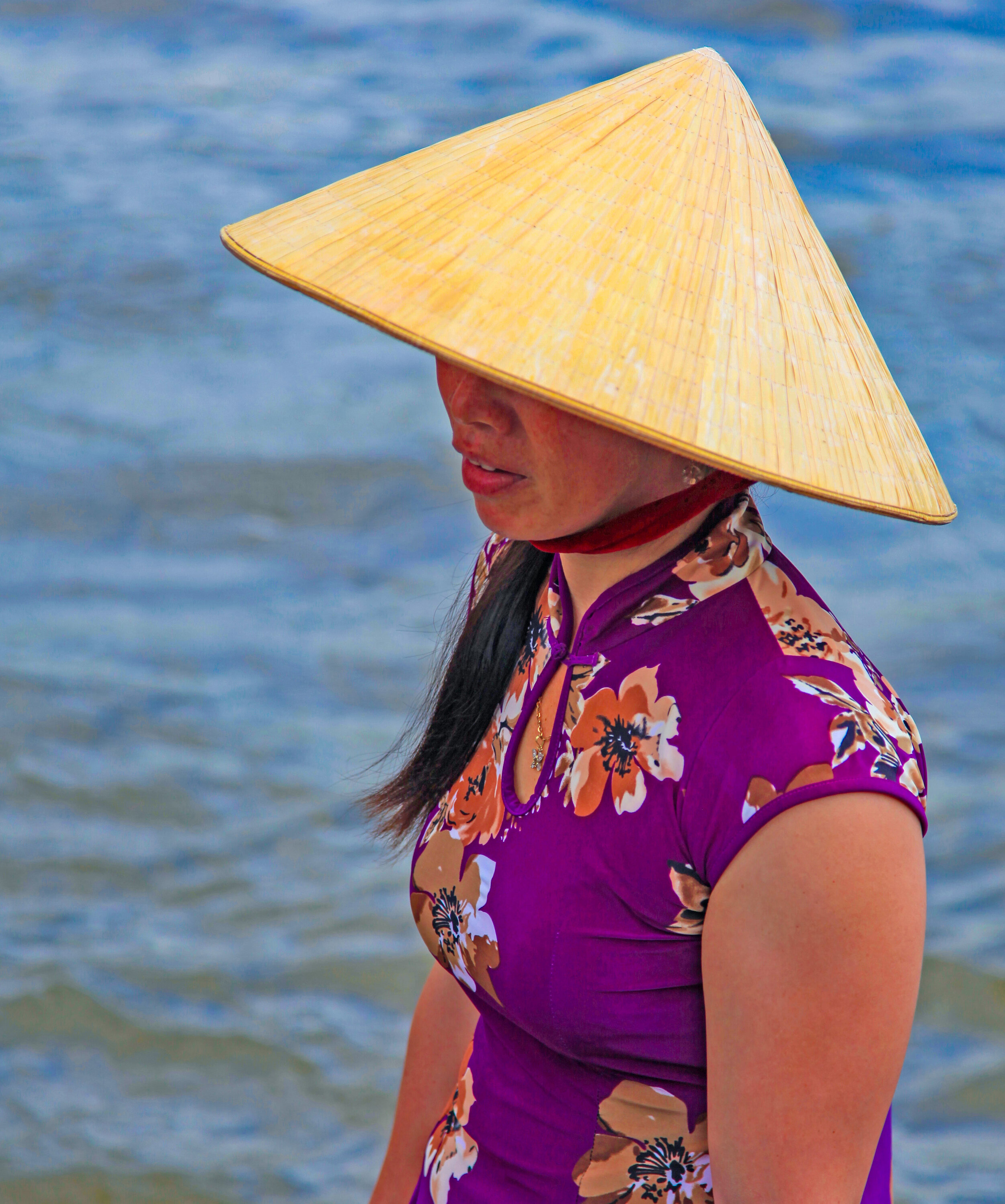  Mekong Delta, Vietnam     