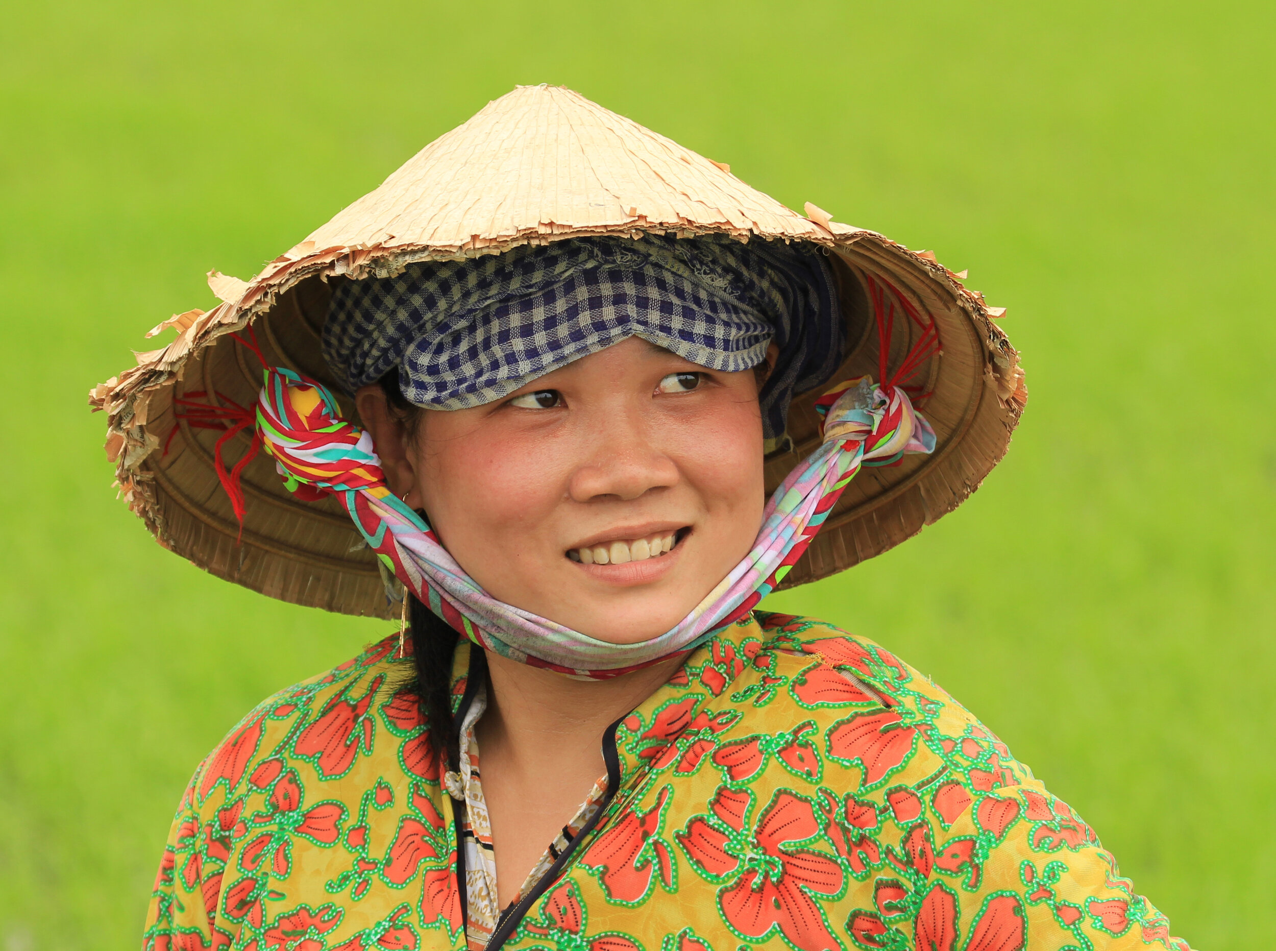  Rice Paddy worker, Mekong Delta, Vietnam     