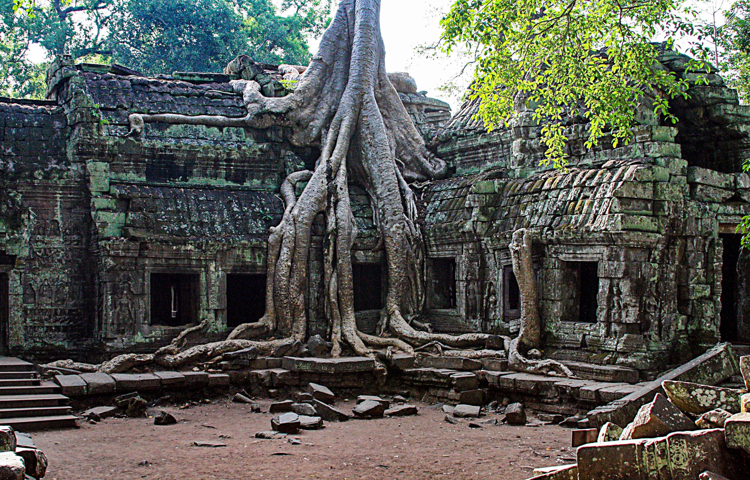  Ta Prohm Temple, Siem Reap, Cambodia 