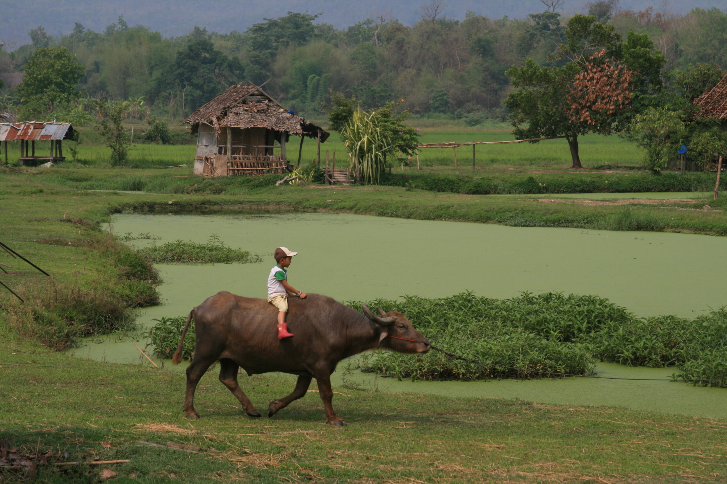  Chiang Mai, Thailand         