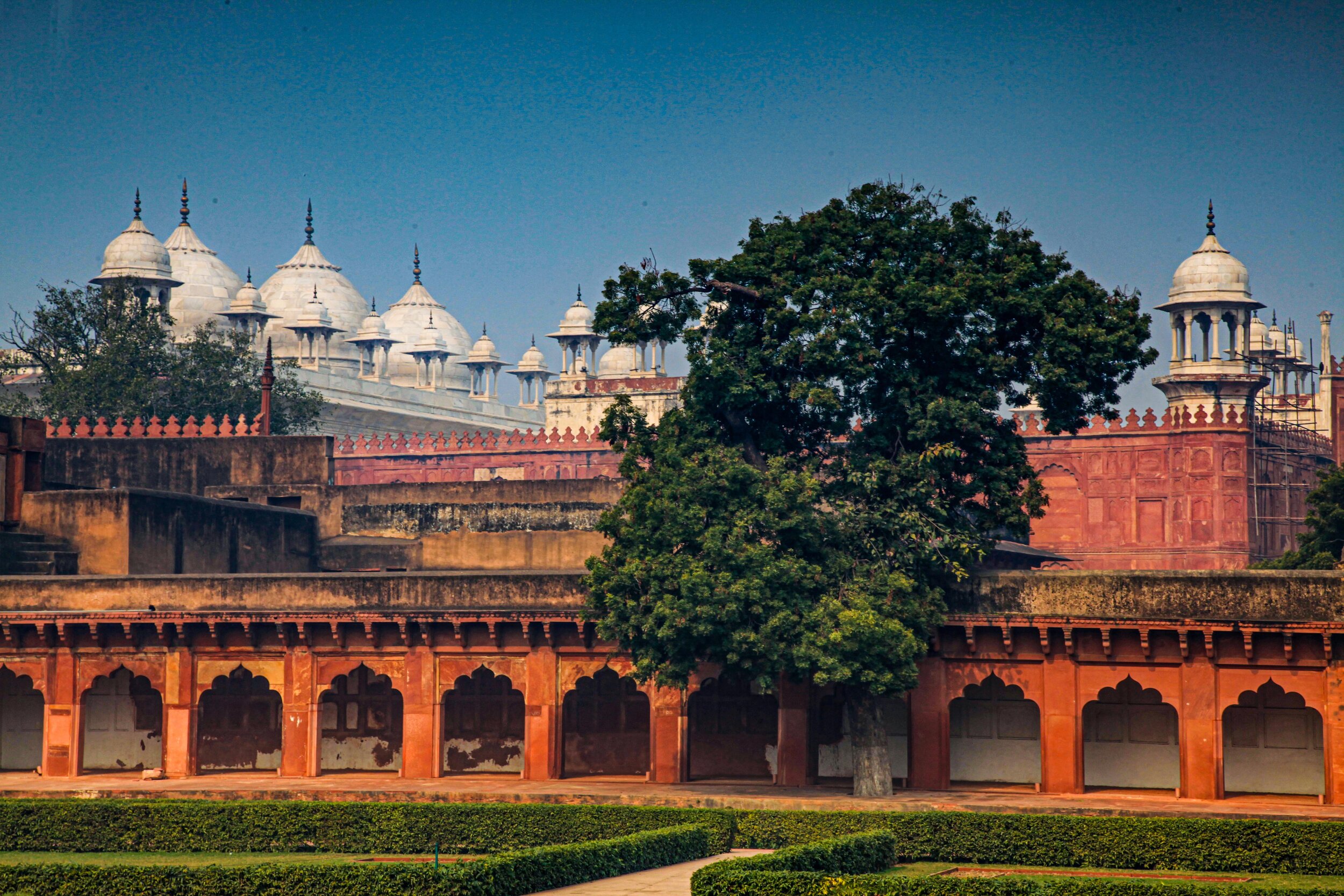  Red Fort, Old Delhi, India         