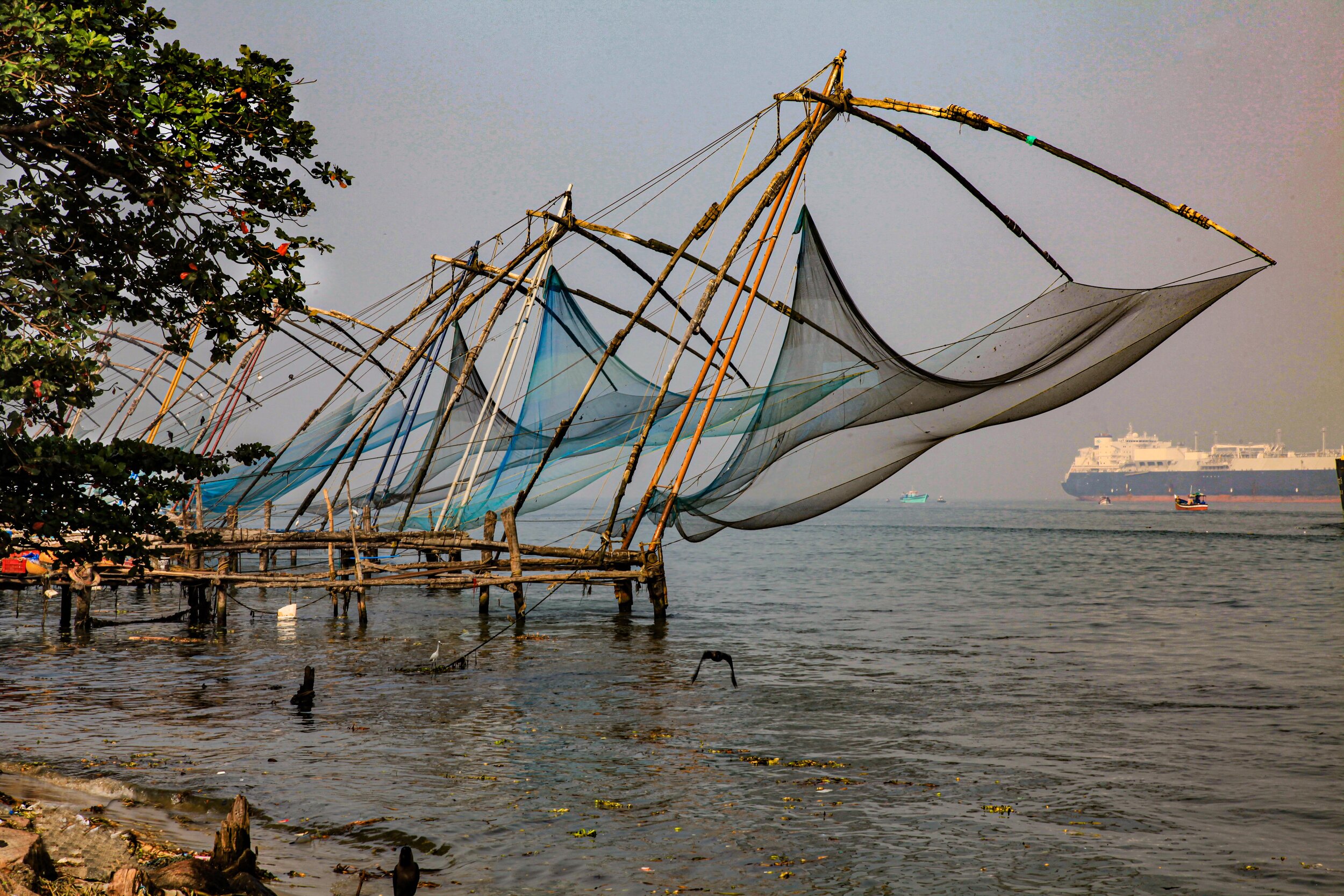  Chinese Fishing Nets, Kochi, India         