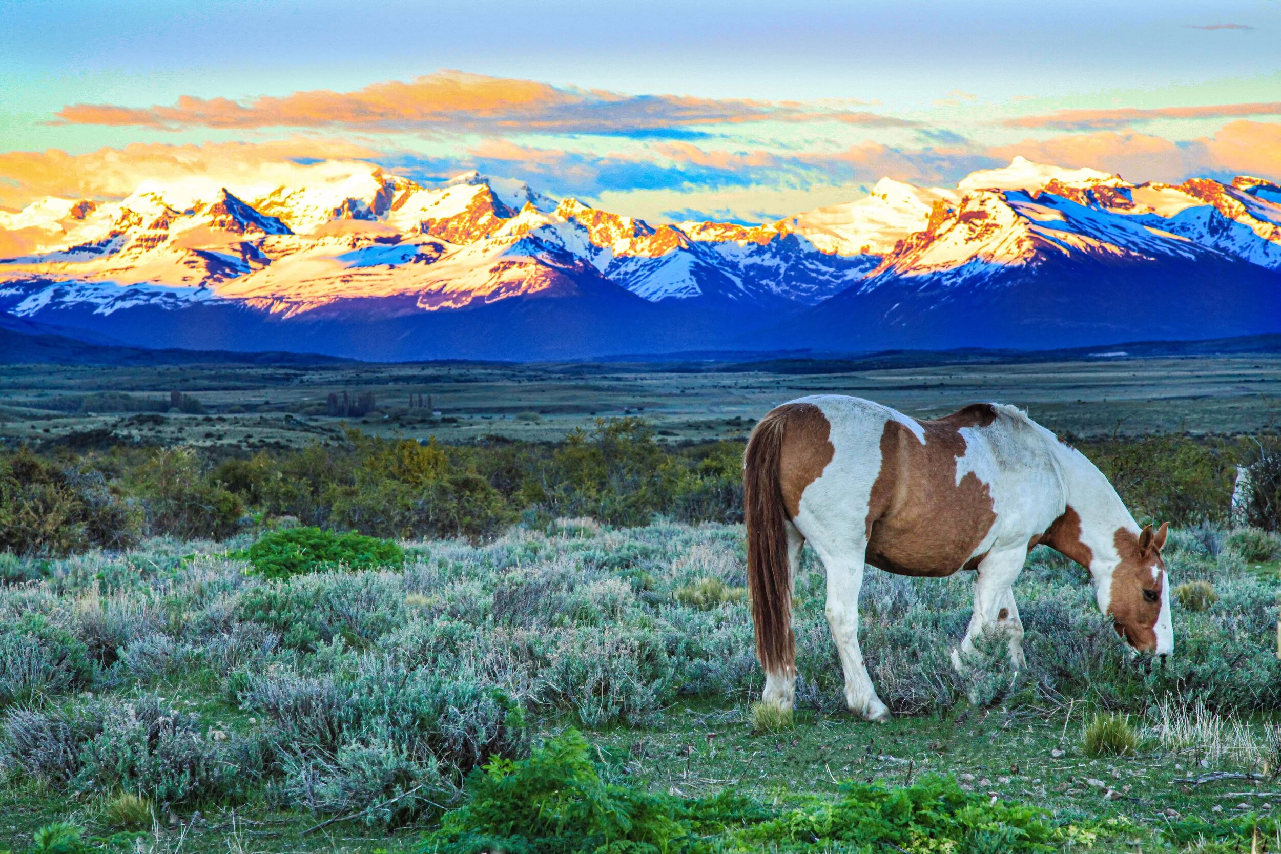  Patagonia, Argentina     