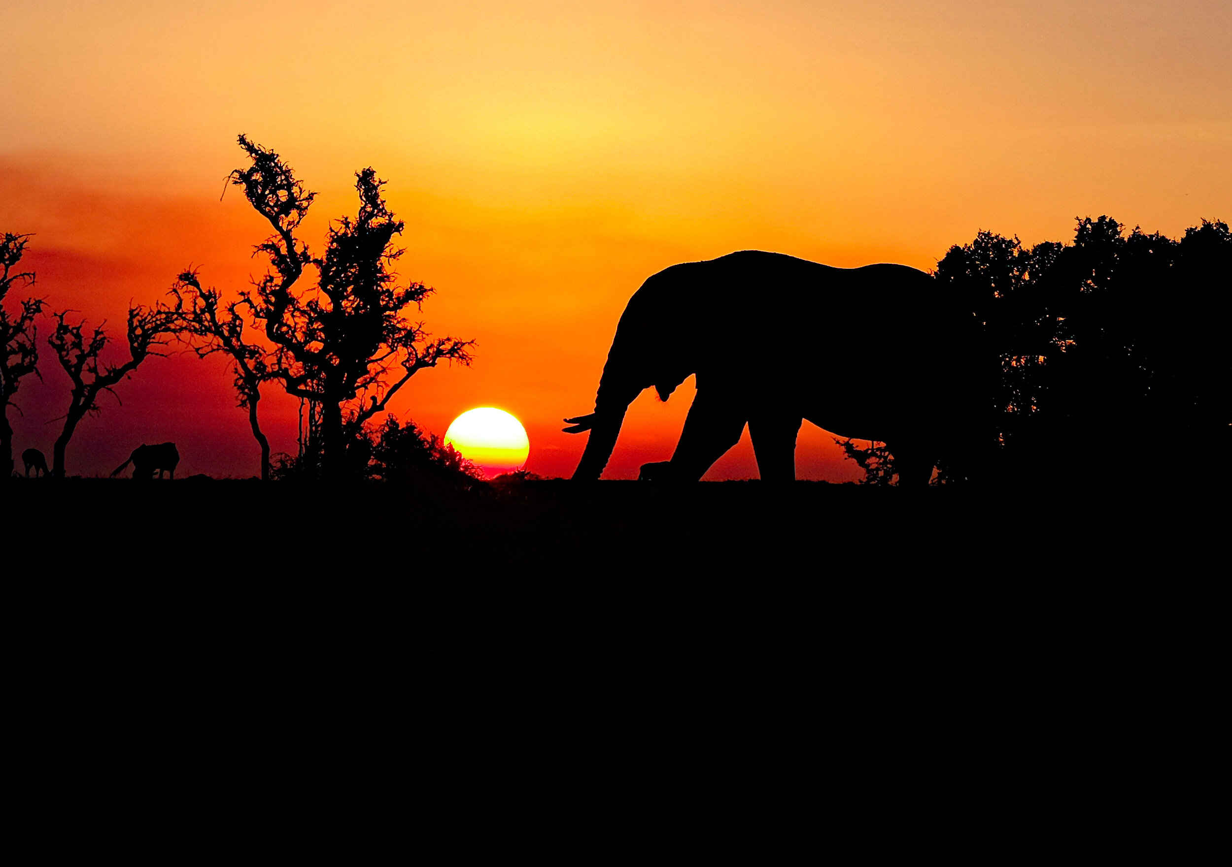  Masaai Mara Sunset, Kenya 