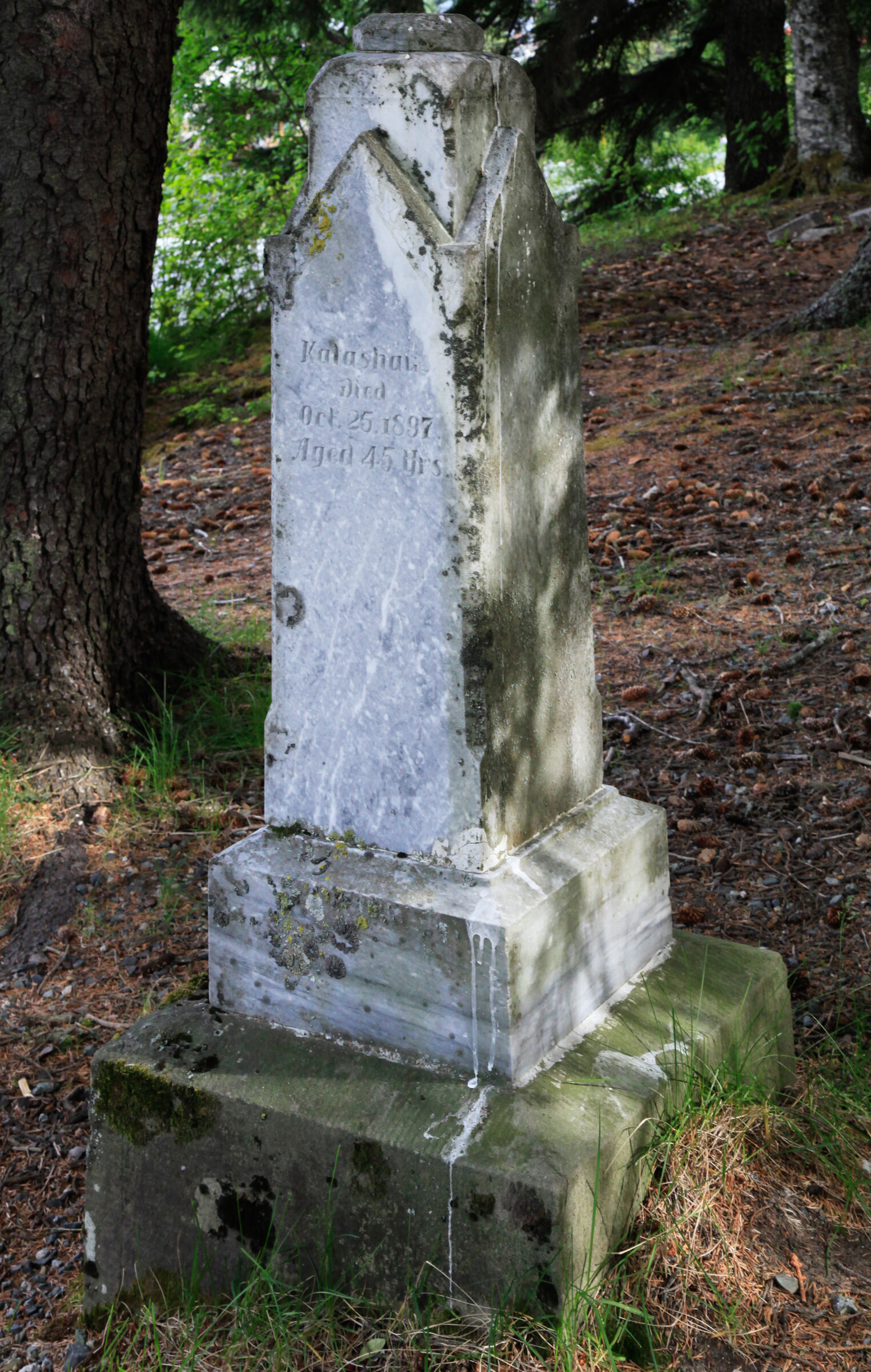  Unmarked cemetery, Haines, Alaska 