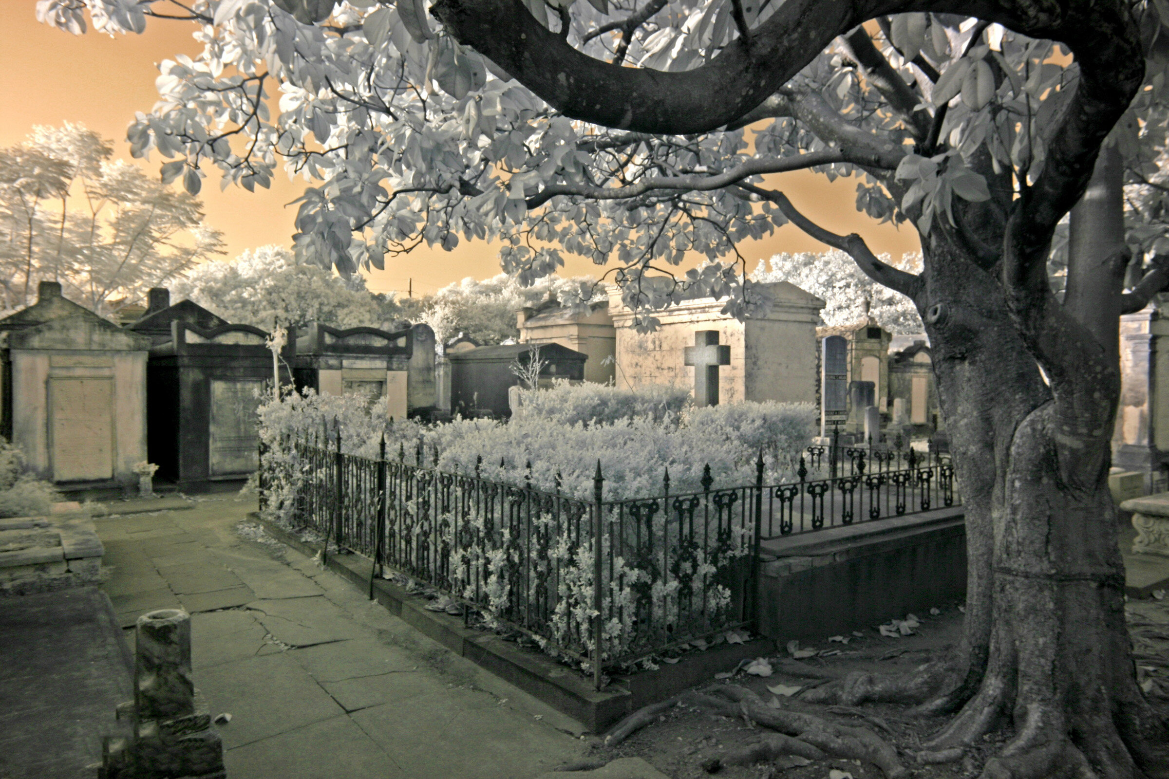  Lafayette Cemetery, New Orleans 