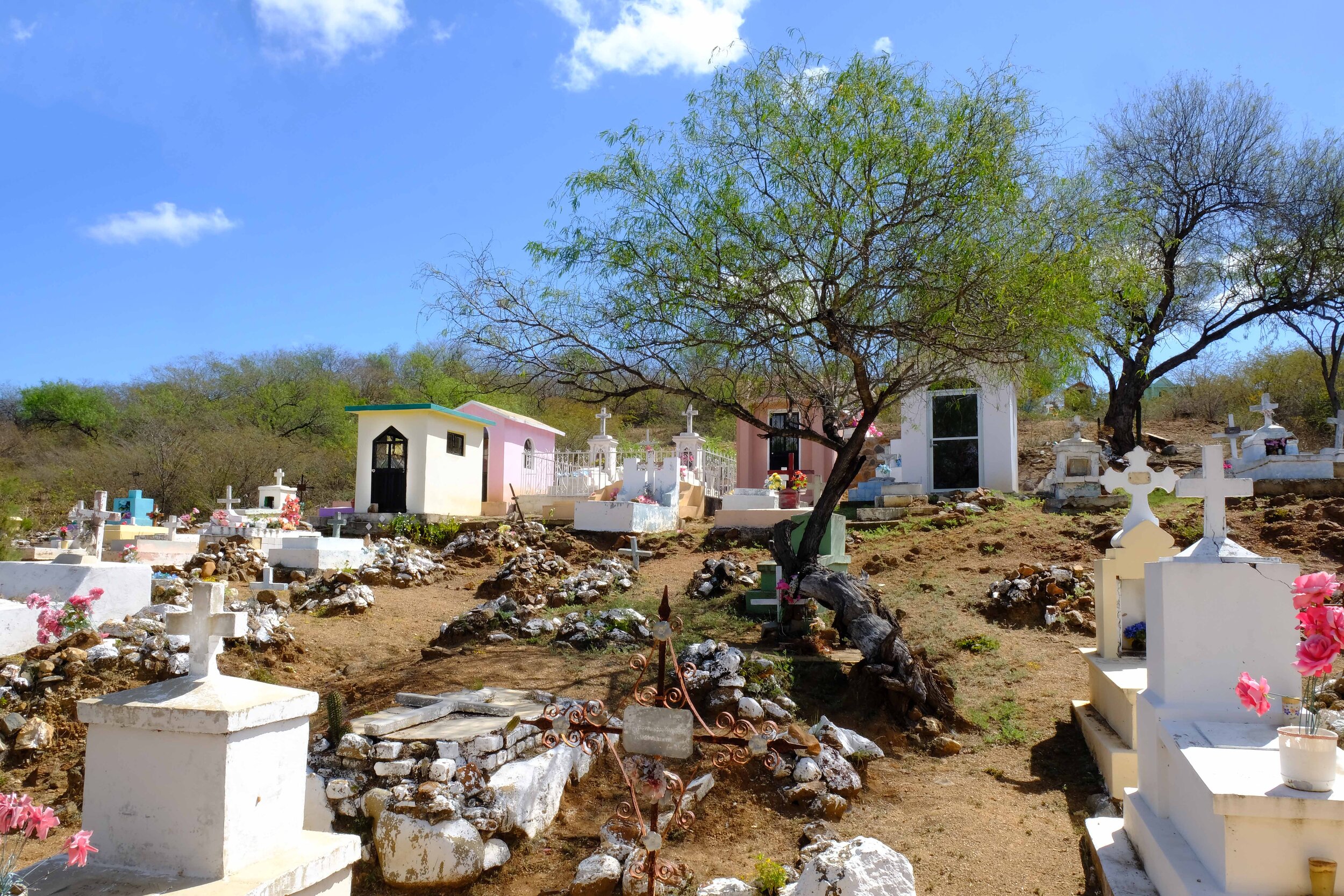  El Fiundo  Cemetery, Baja California, Mexico 