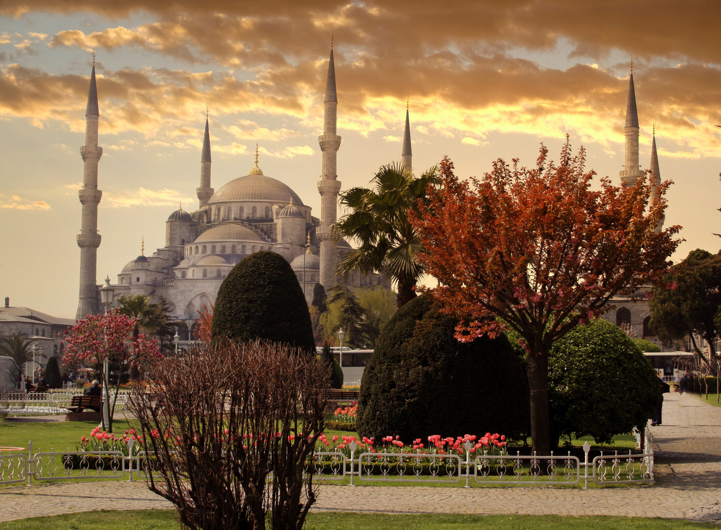  Blue Mosque, Istanbul, Turkey 