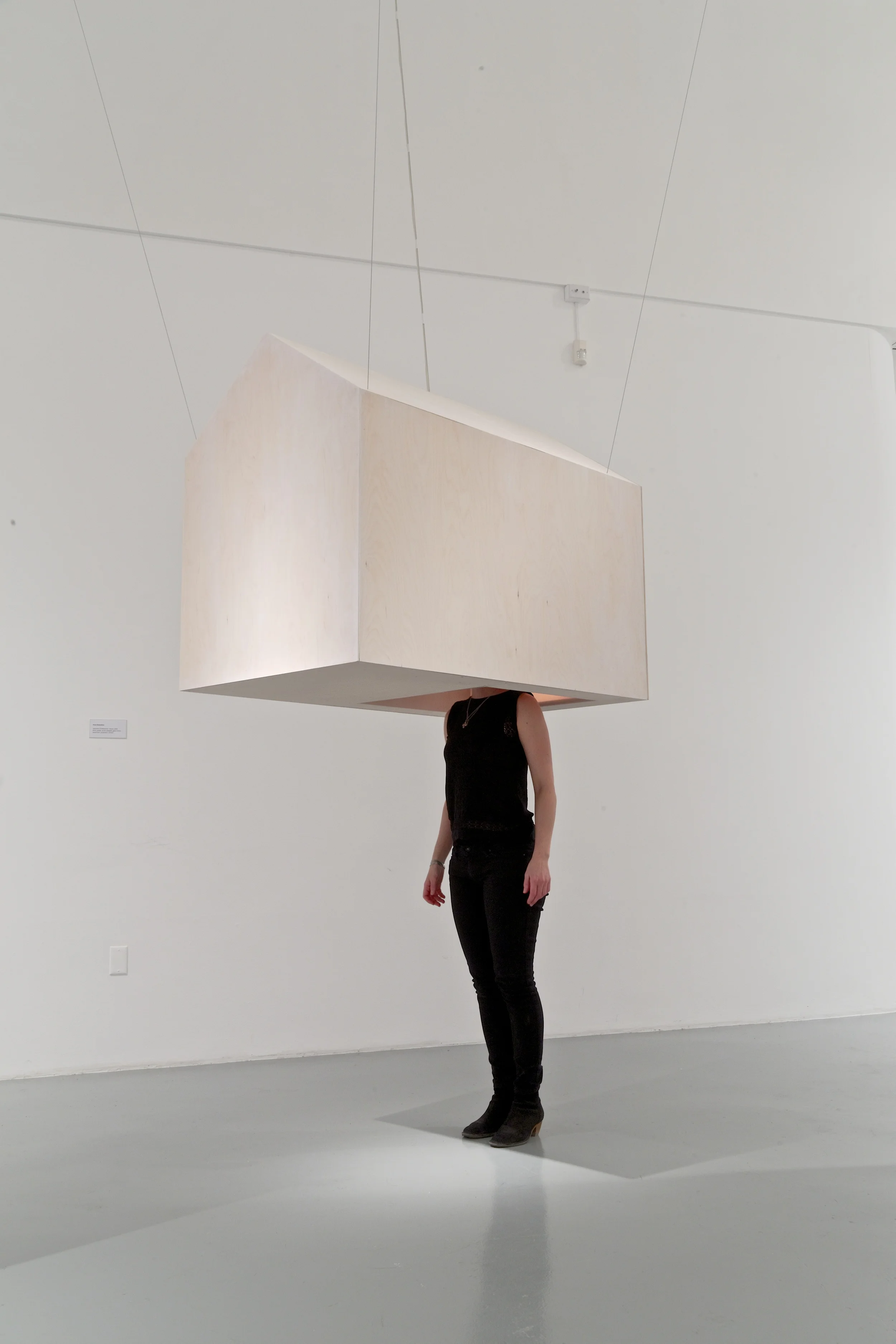 Voluntary Confinement: House. 2014.
