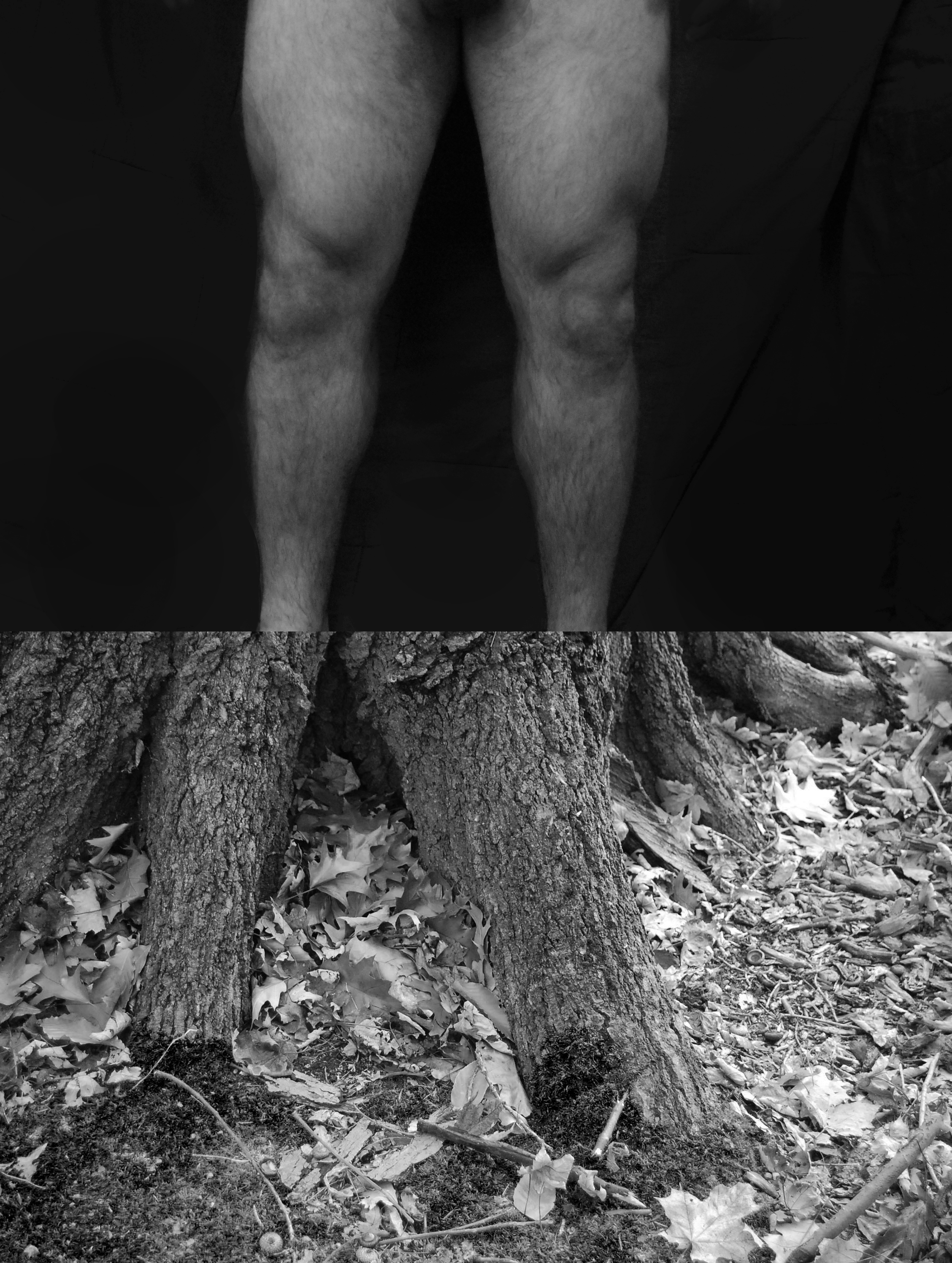 feet.jpg