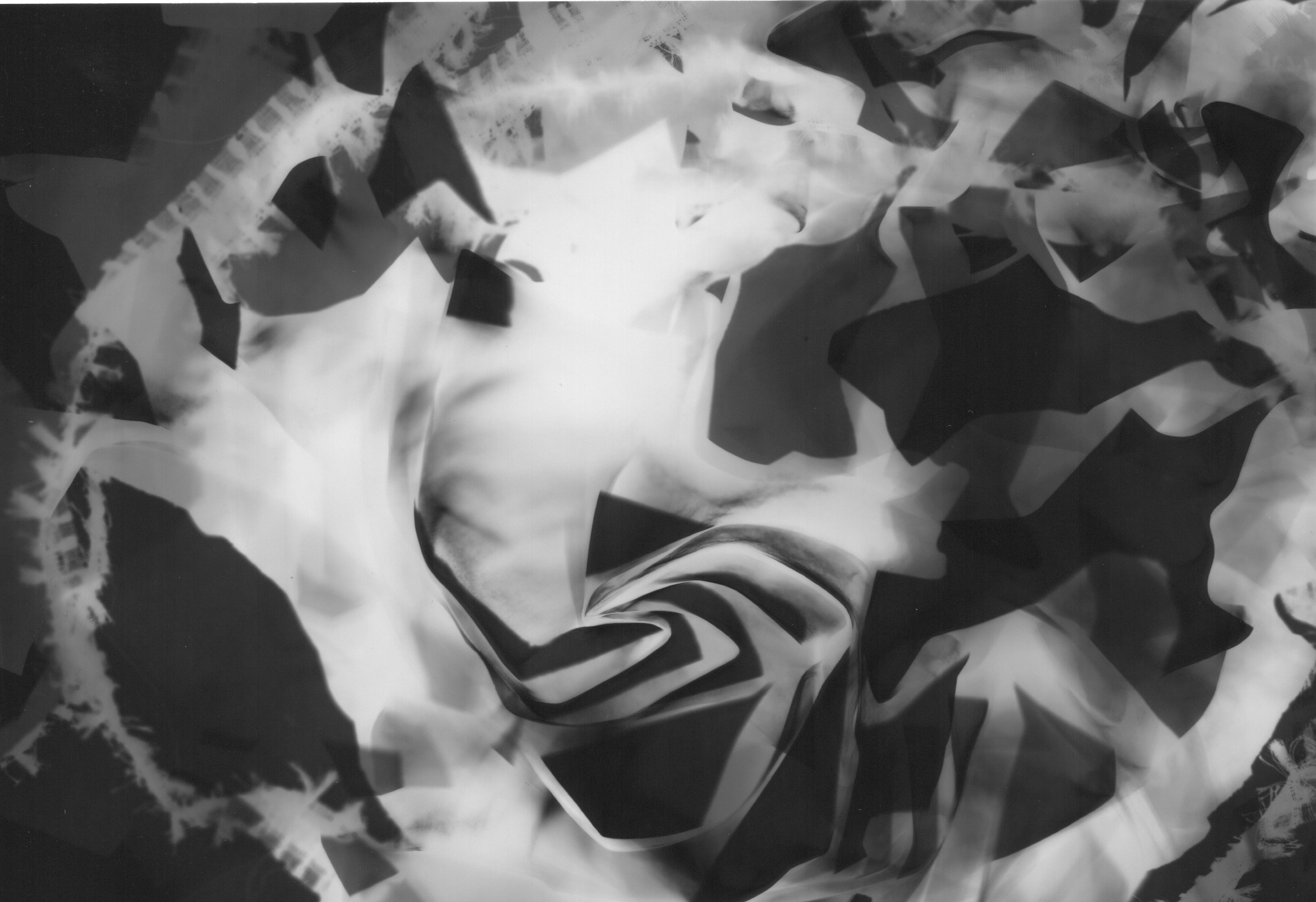 photogram 5.jpeg