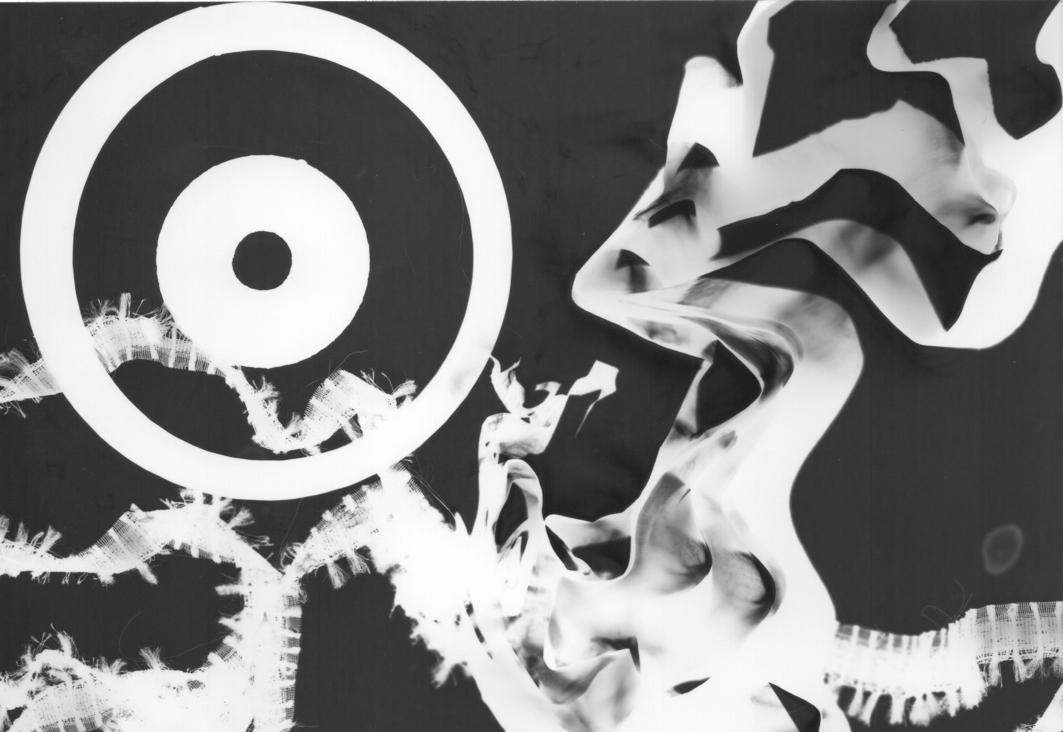 photogram 15.jpeg