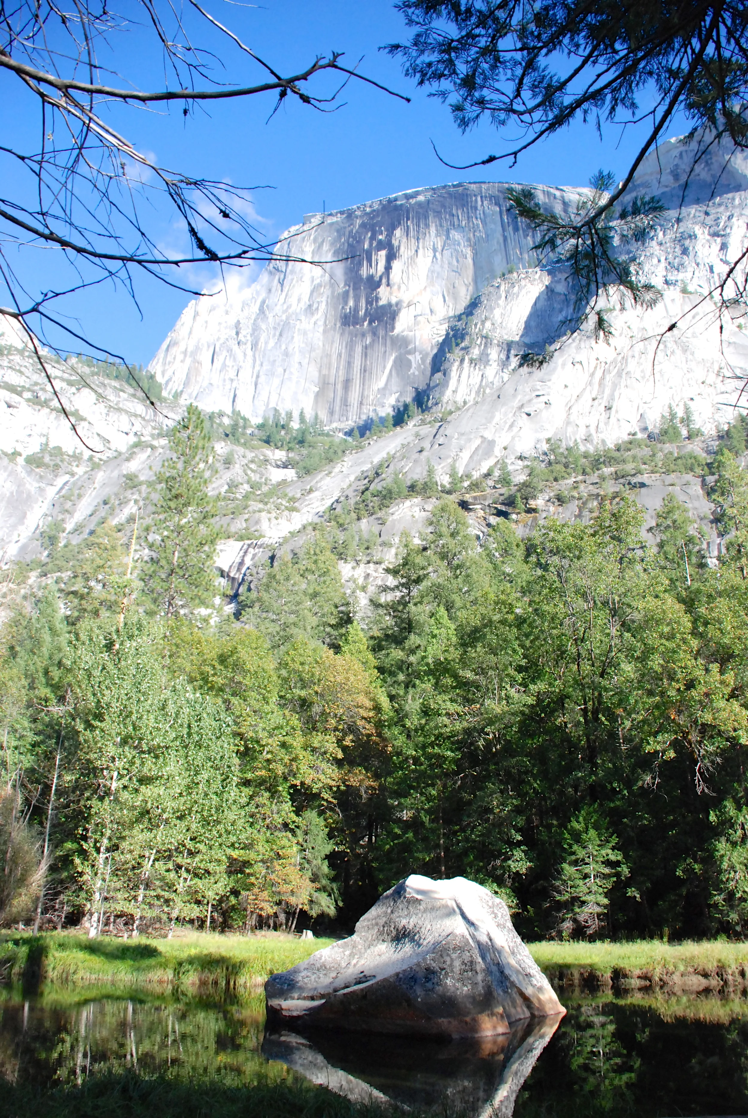 JoAnns California photos - 1312.jpg