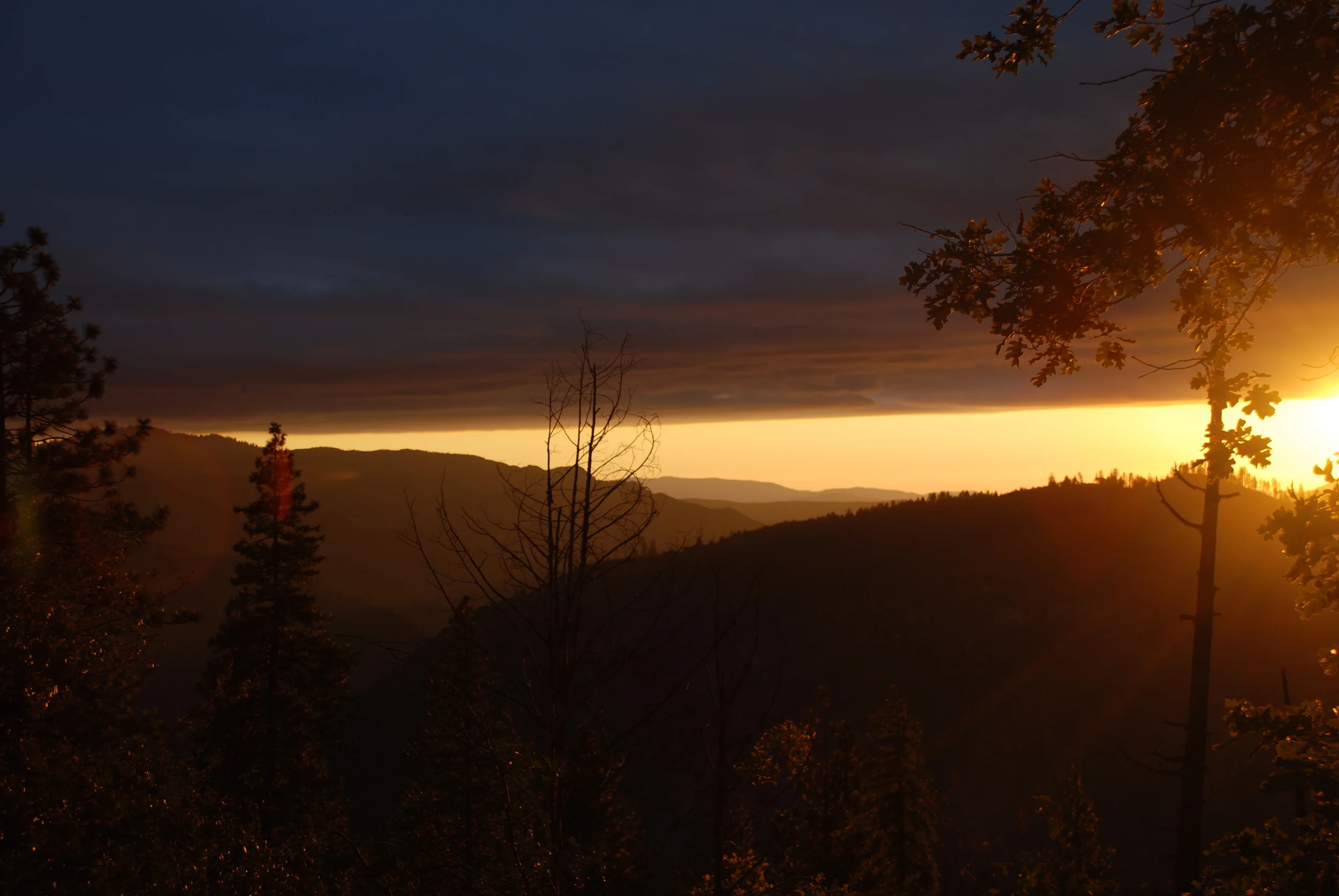 JoAnns California photos - 1444.jpg