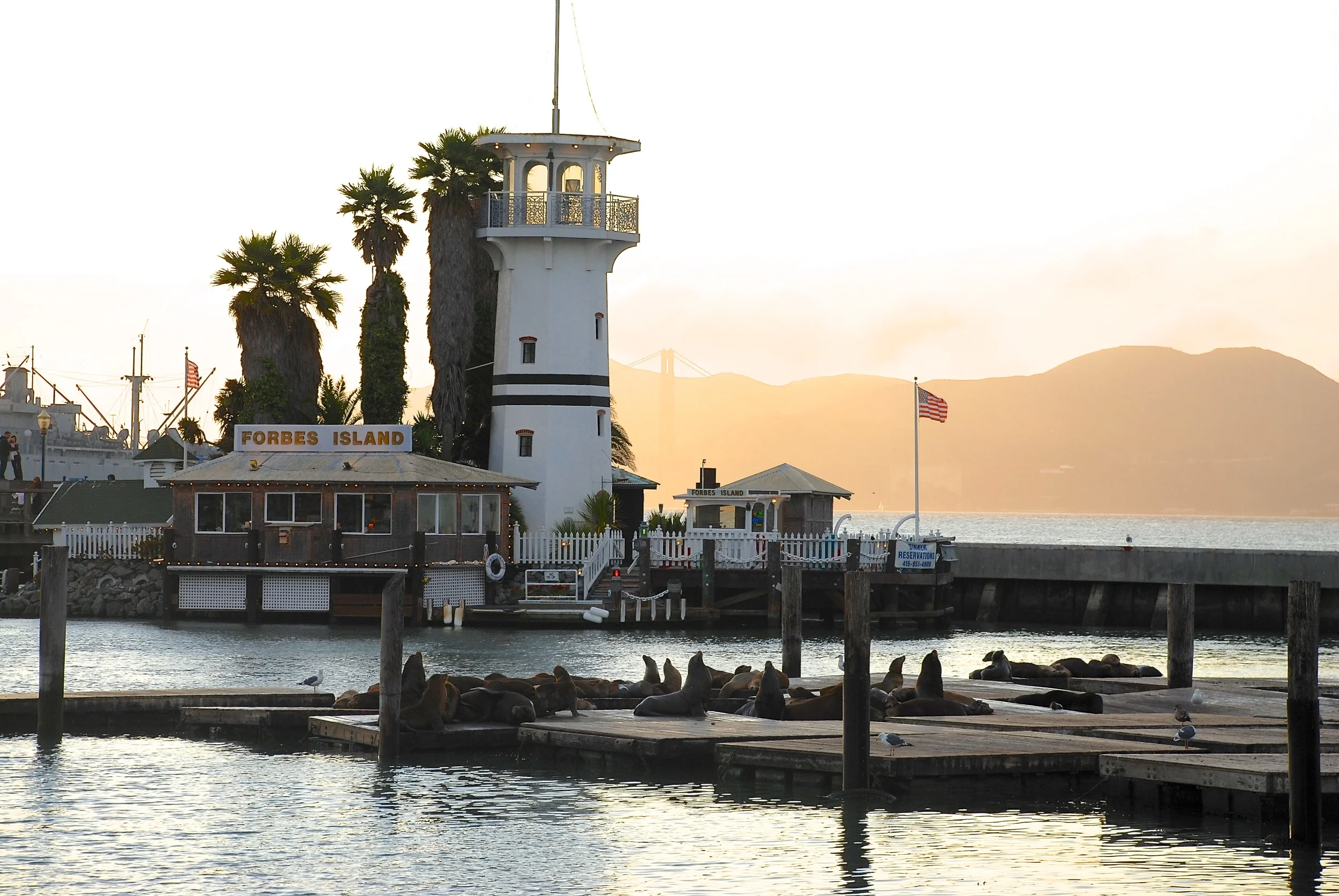 JoAnns California photos - 0332.jpg