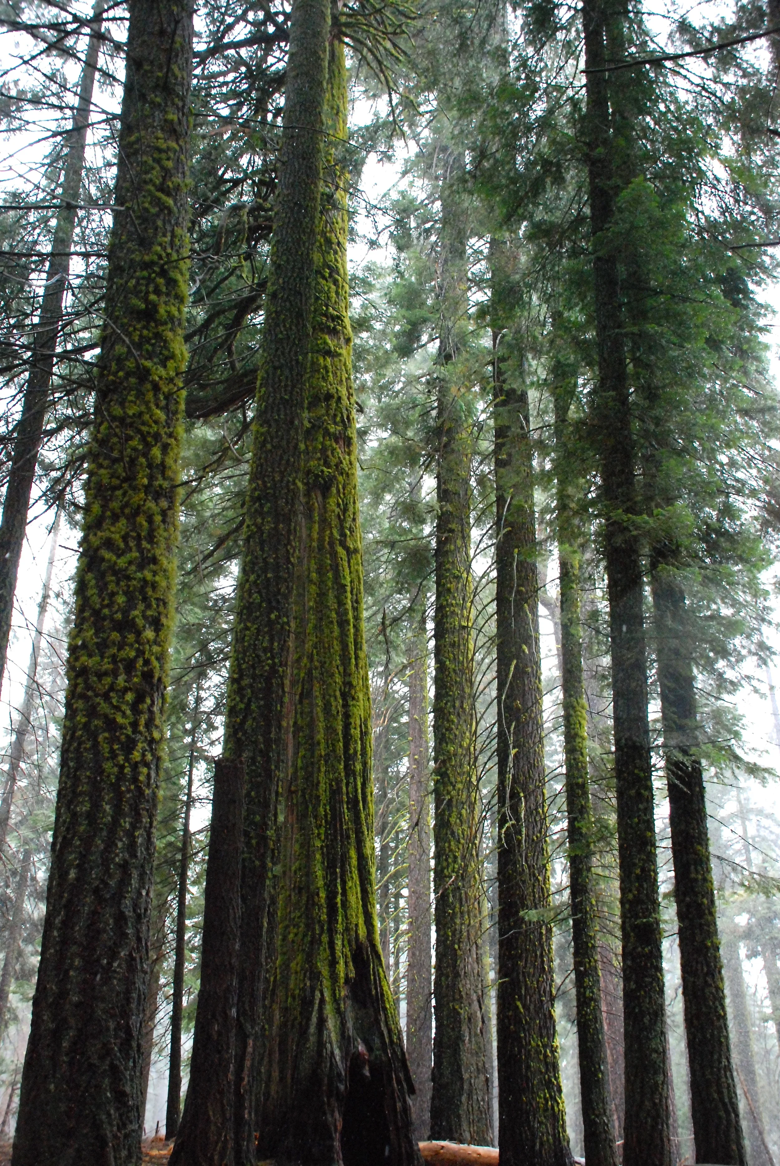 JoAnns California photos - 0762.jpg