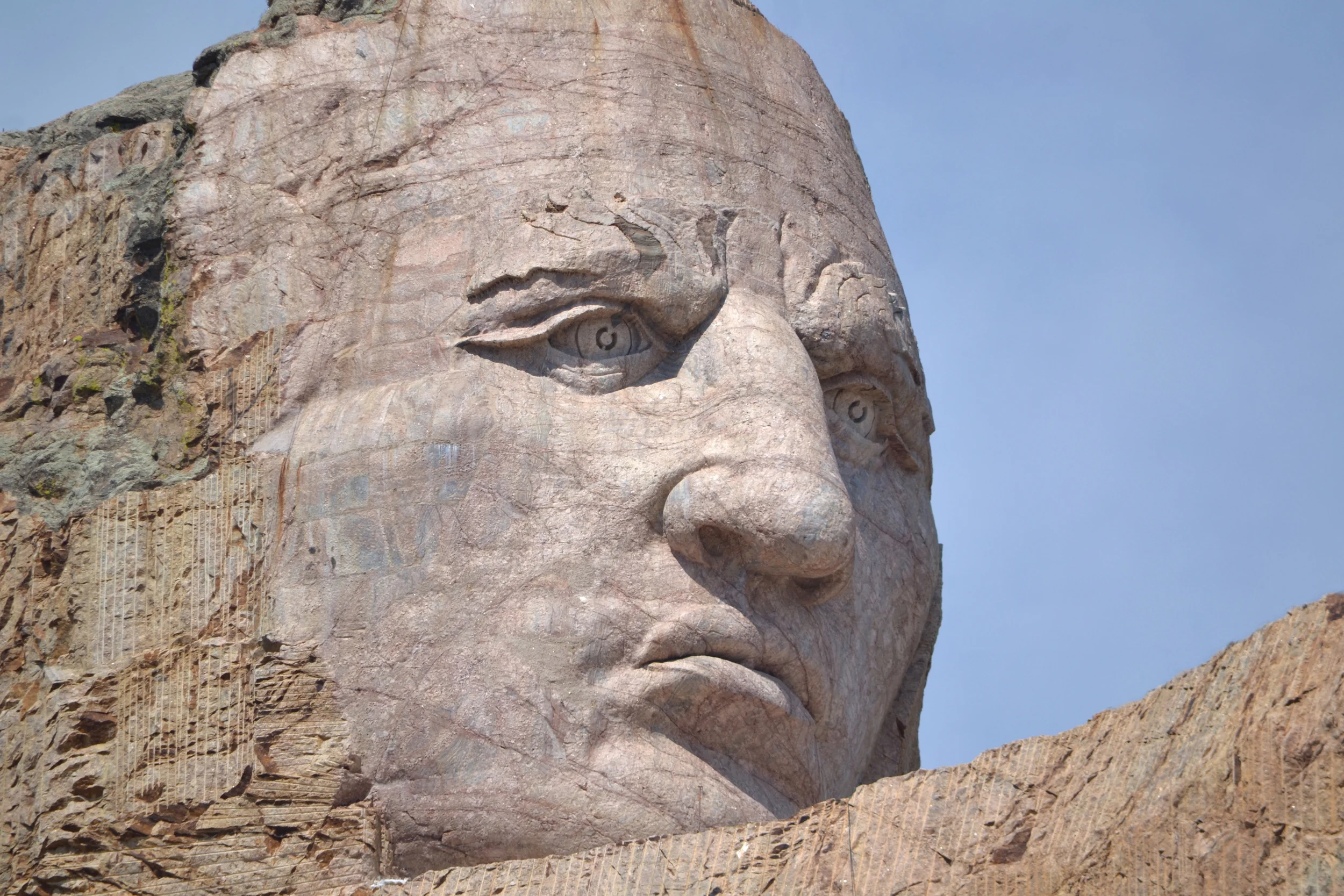 Large crazy horse.jpg