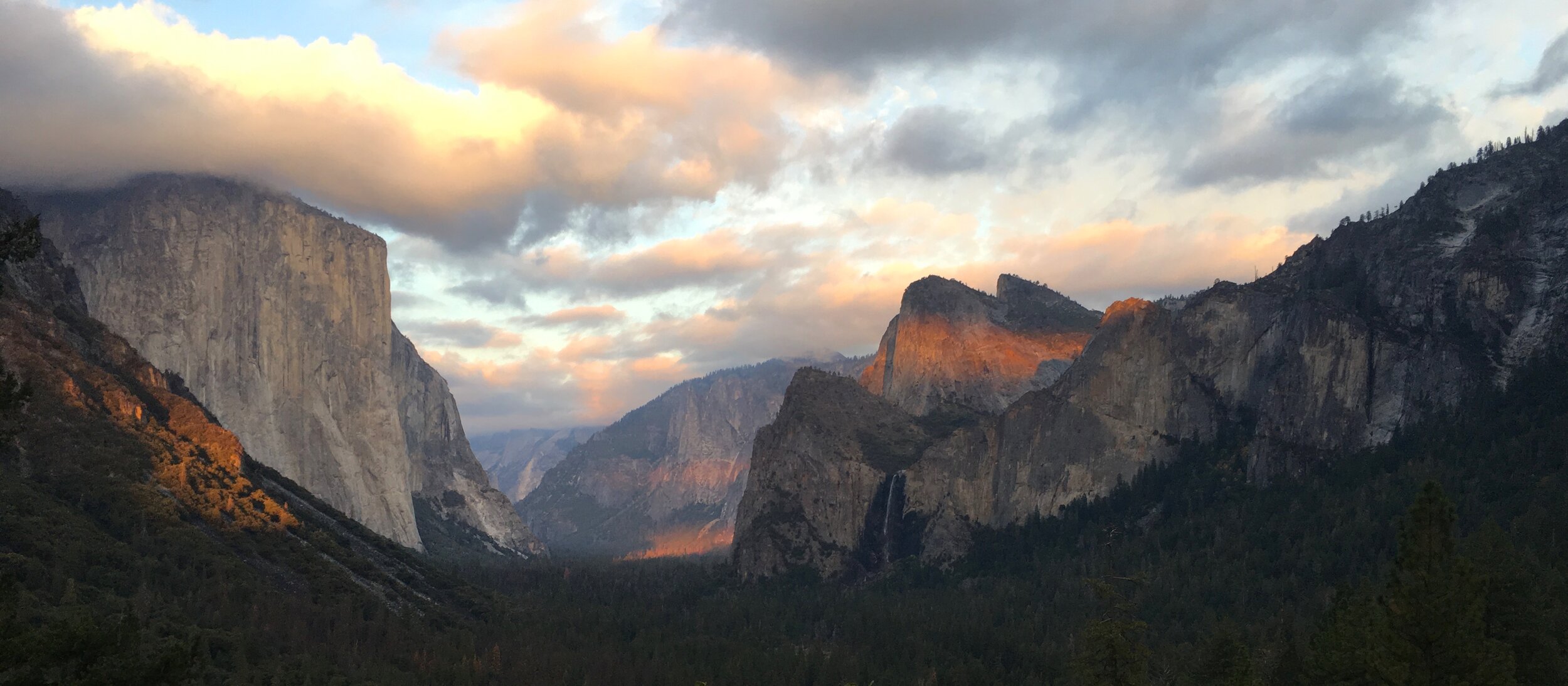 IMG_7954 - Version 2.JPG