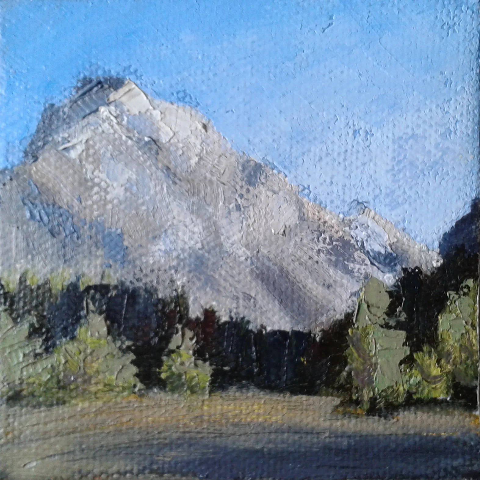 Coming Down (3x3)