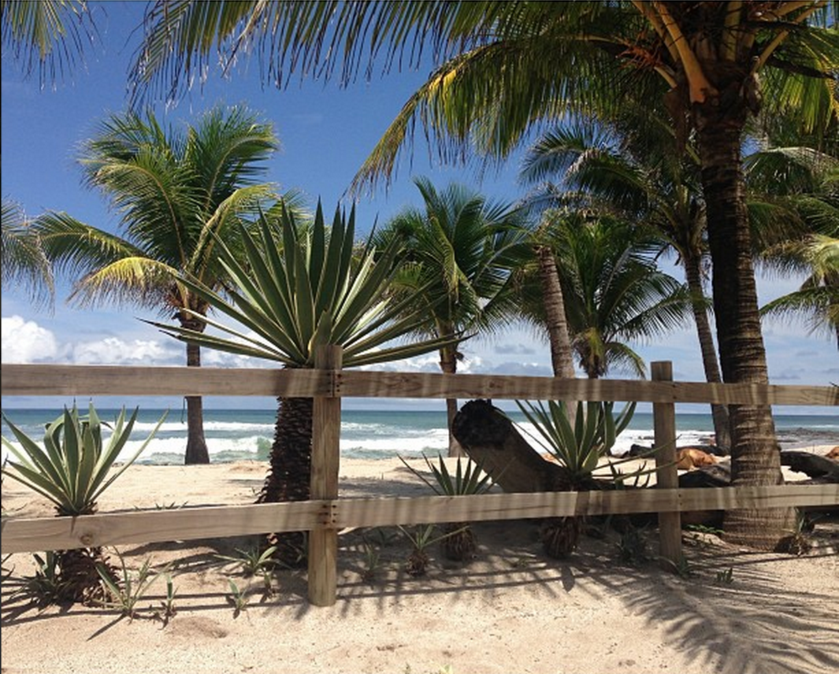 Costa Rica | Whimsy & Grace Blog