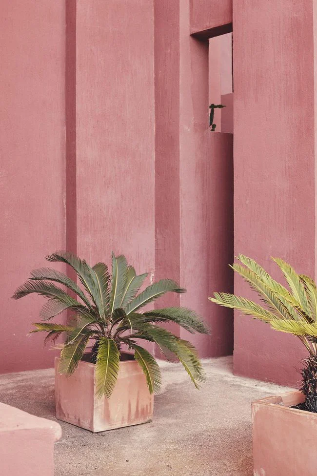 FullSizeRender.jpg